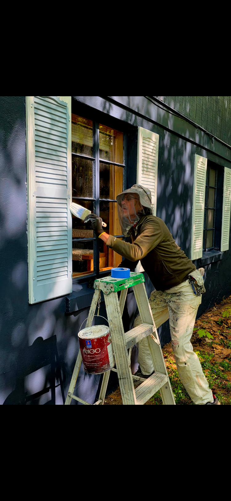  for Staib & Son Painting & Decorating Llc. in Jackson, MI