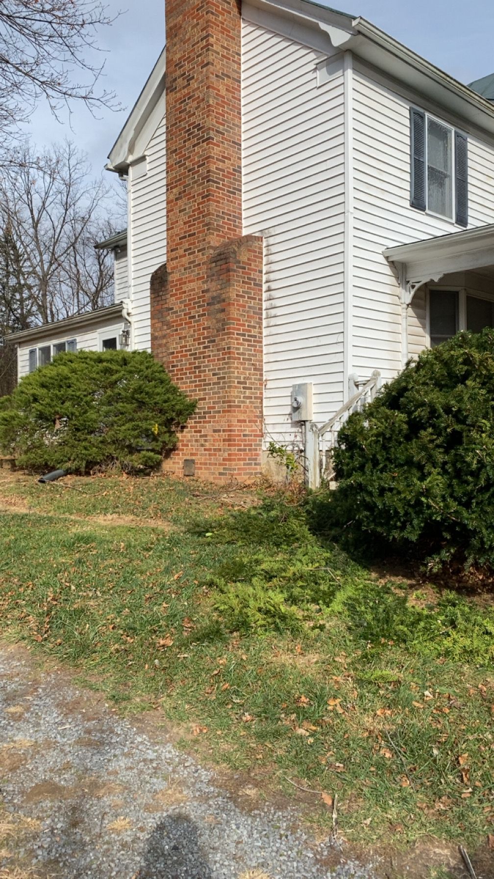 All Photos for Gray's Tree Service Inc in Maurertown, VA