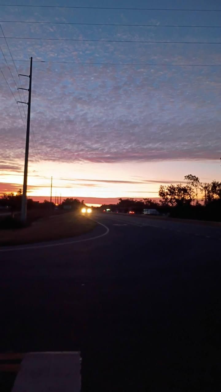 All Photos for Asbell's Tree & Land Services in Gilchrist County, FL