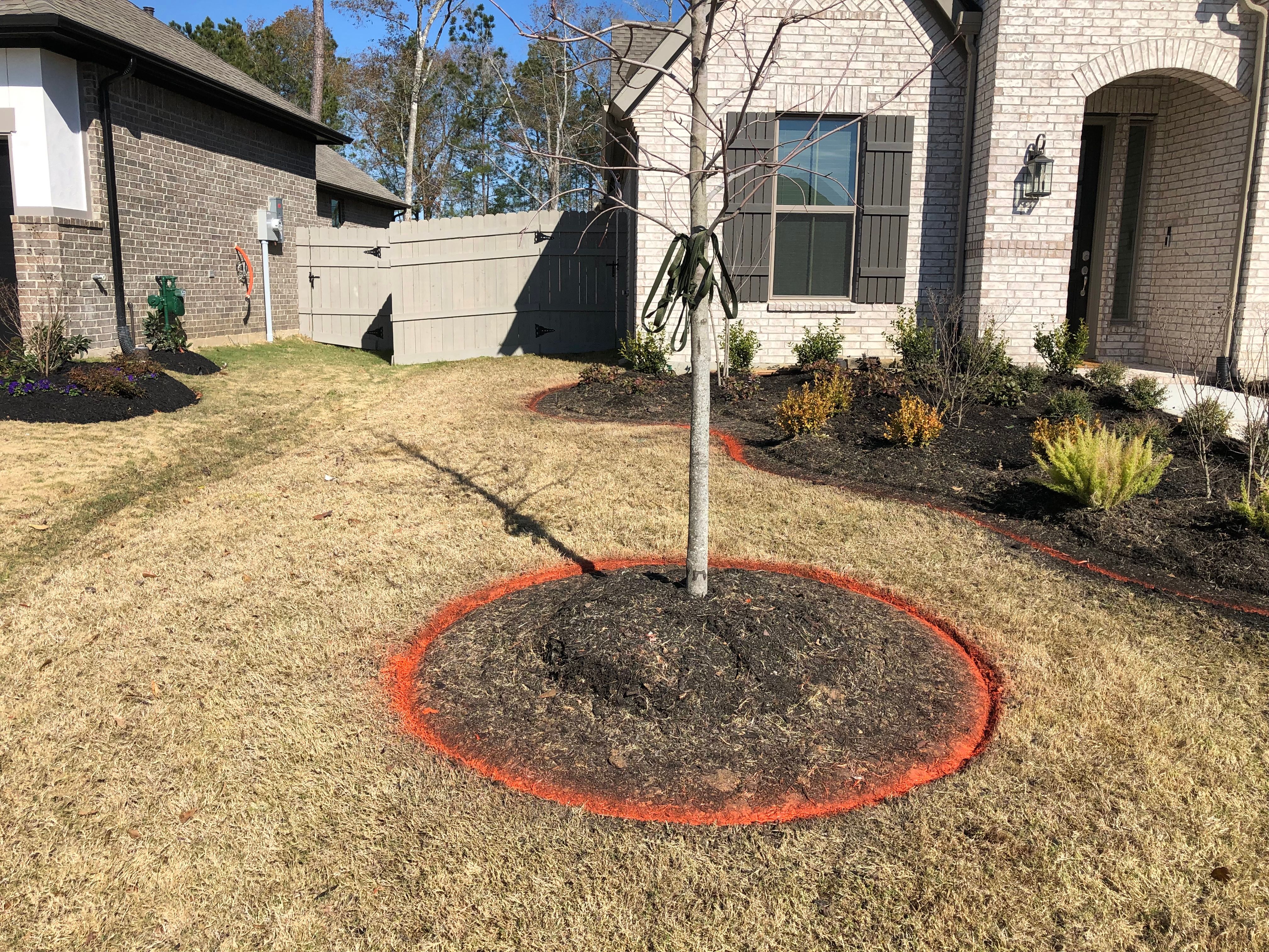  for Texas Curb N Borders in Houston, TX