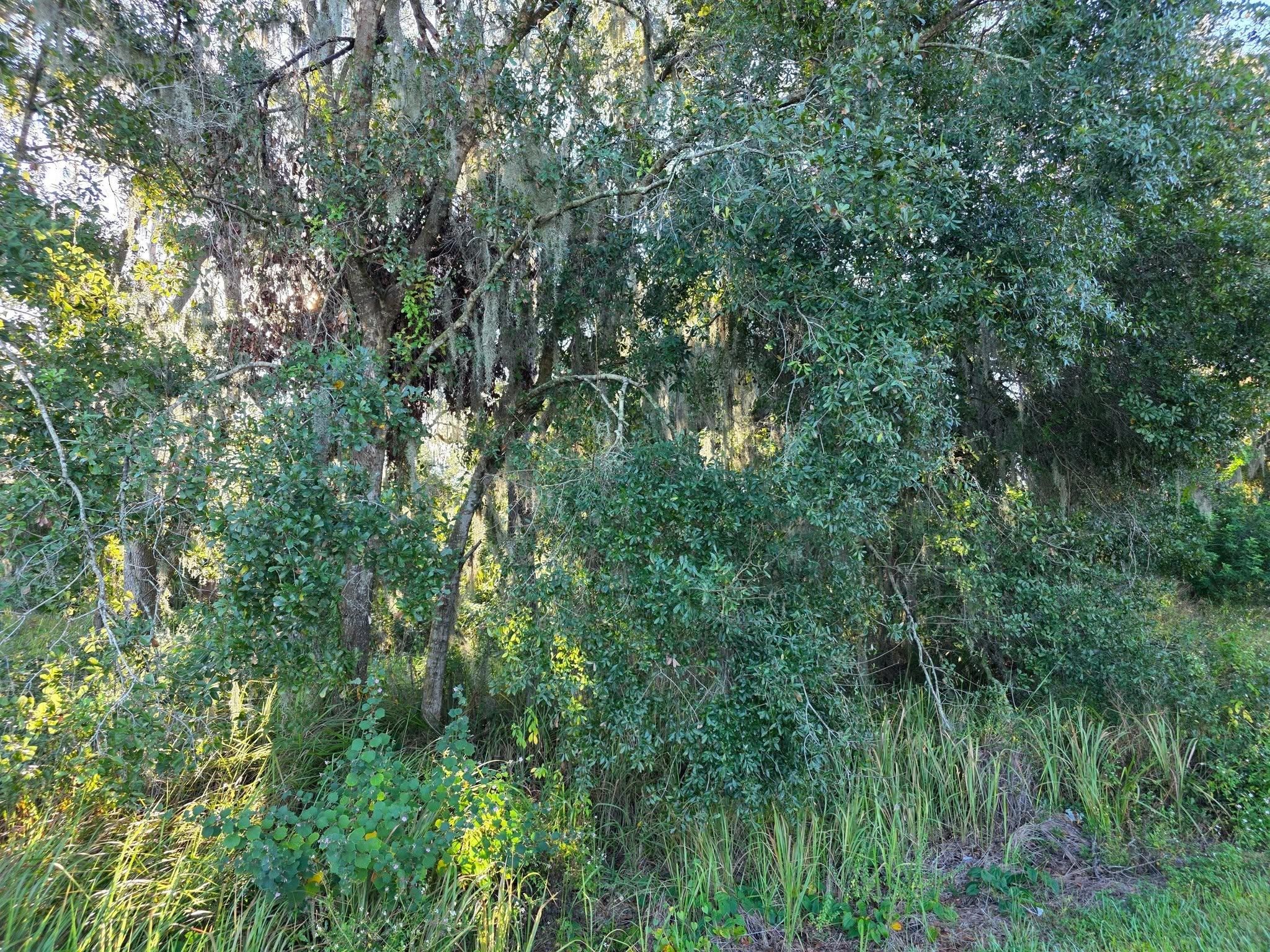  for Bay Area Bobcat in Riverview, FL
