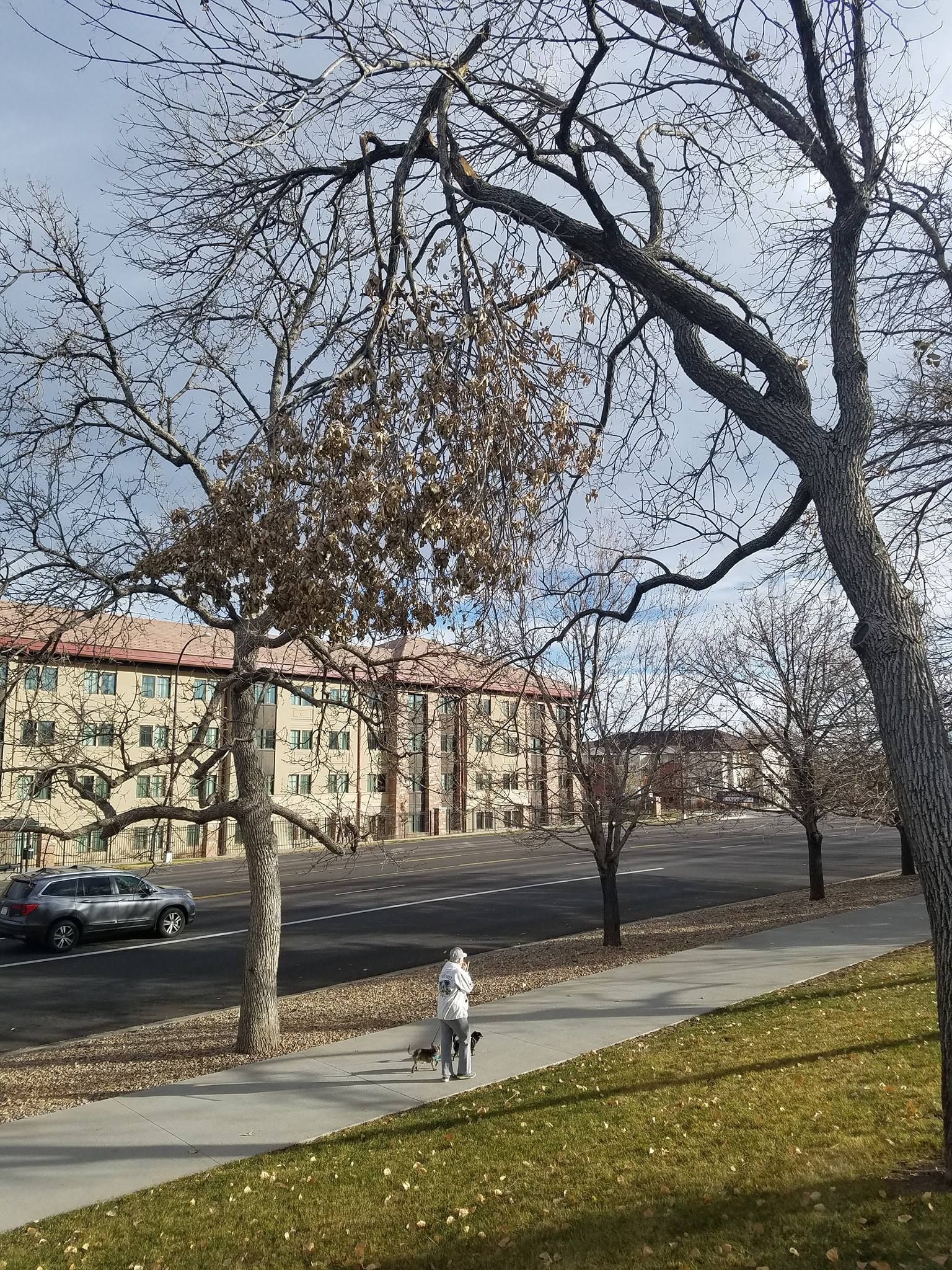 All Photos for Beetle Busters LLC in Centennial, CO