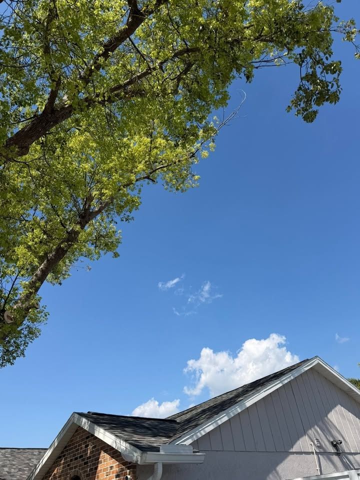  for Damian’s Tree Care in Sarasota, FL