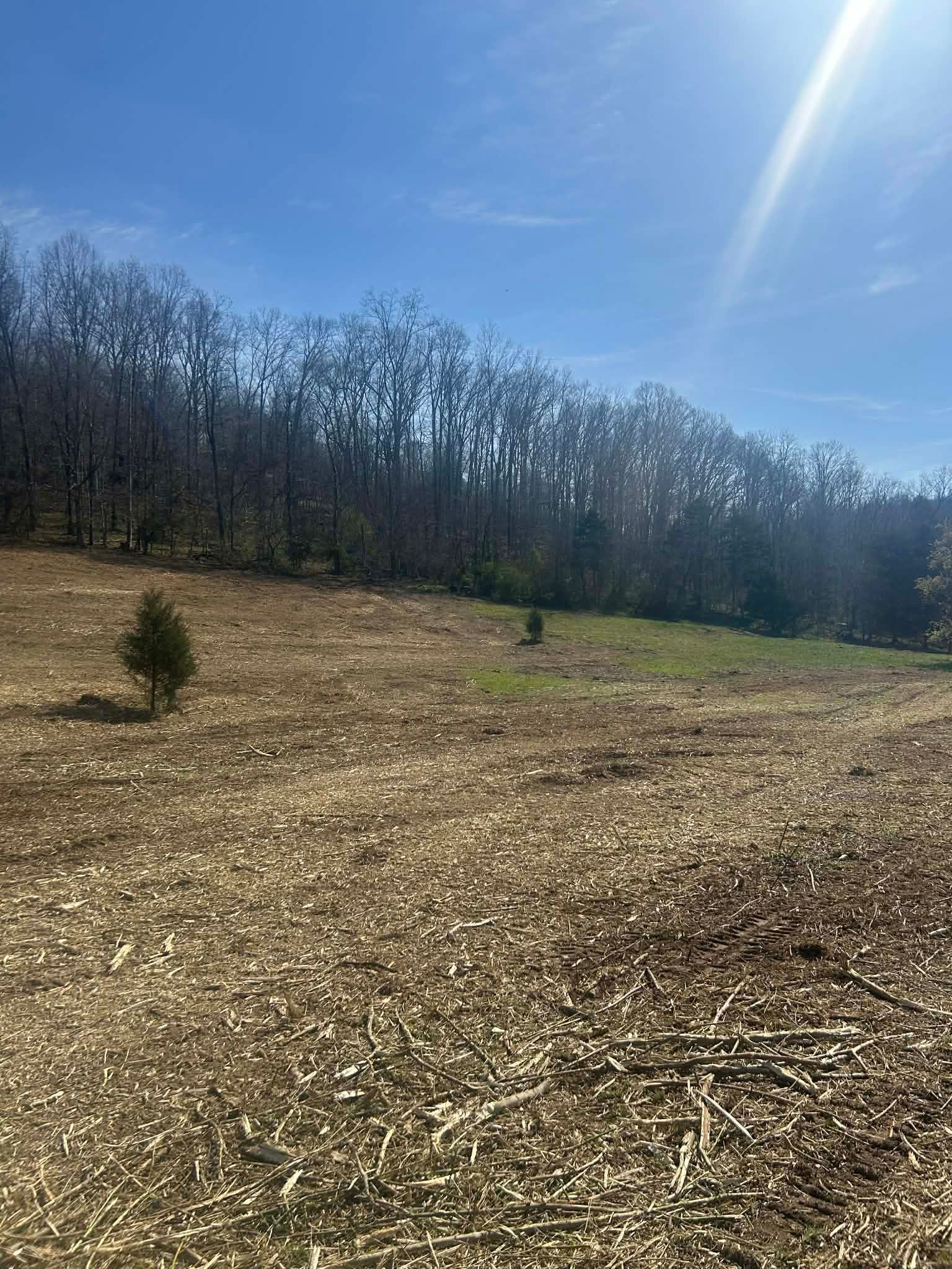  for Z's Land Management & Forestry Mulching in Smithville, TN