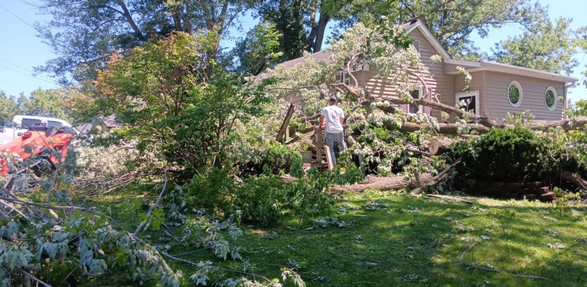  for Lawn Ranger Yard And Tree Service LLC in Ottumwa, IA
