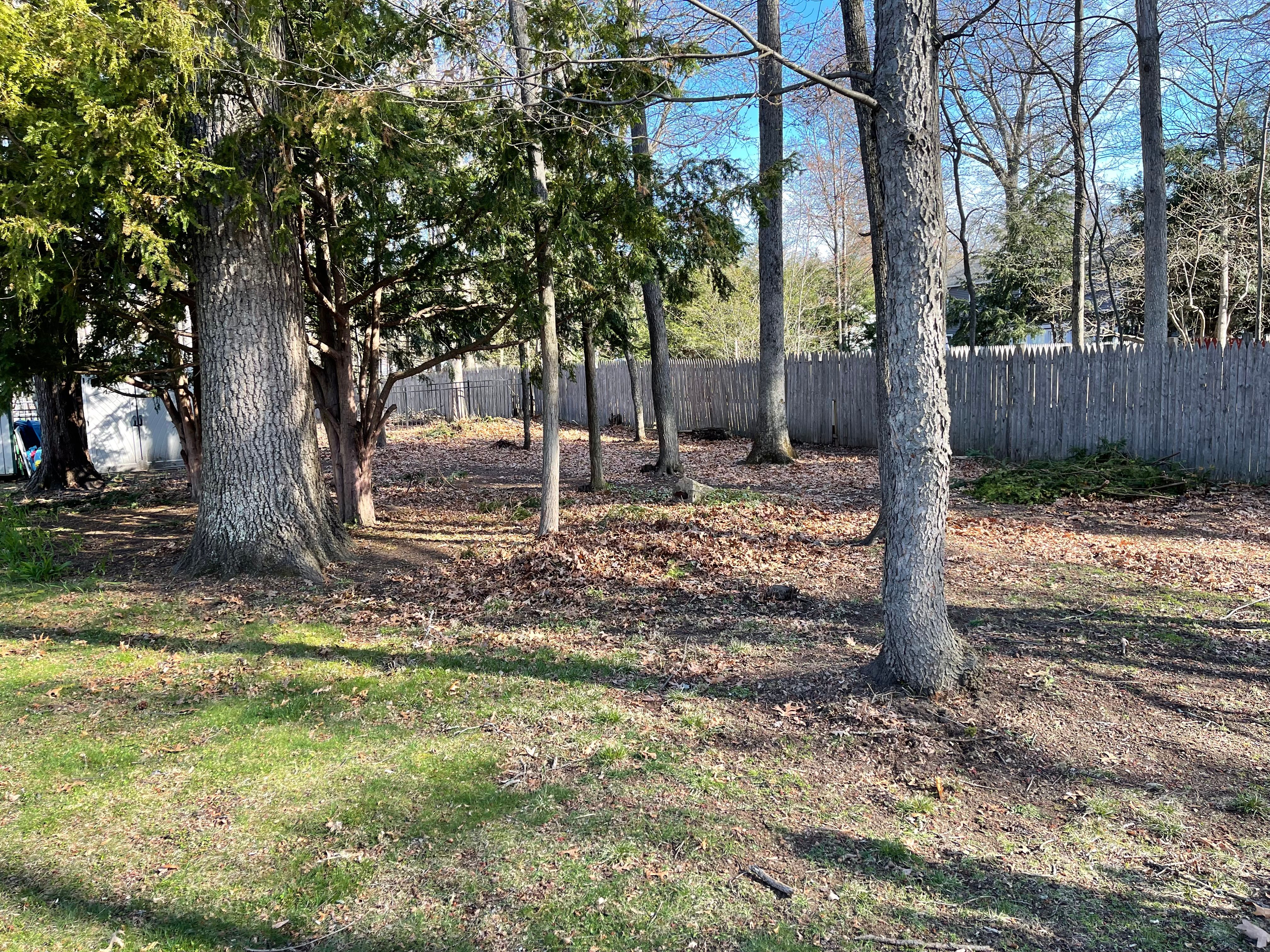 All Photos for Elite Terrain in Wilton, NY