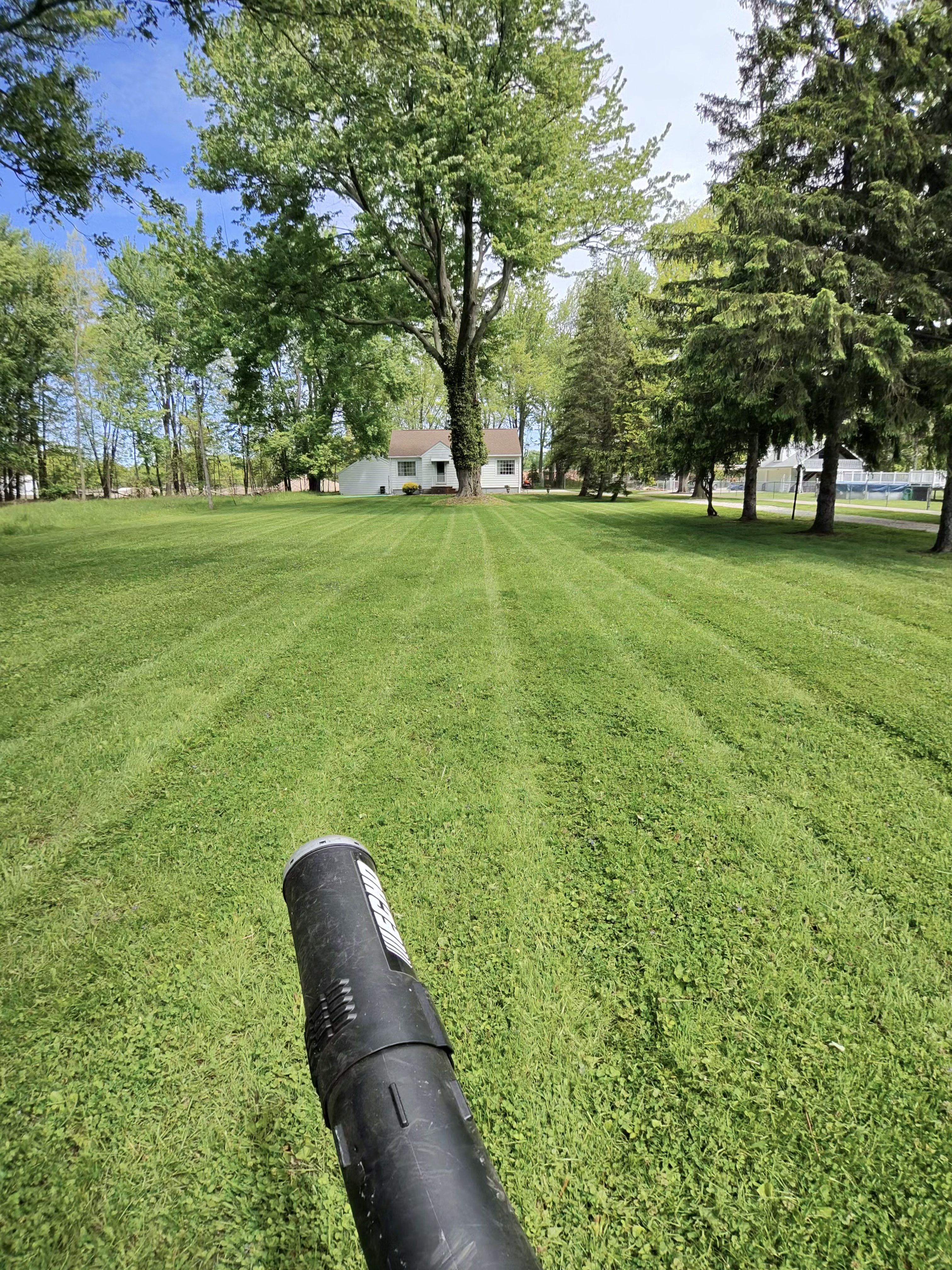  for Yard Theory in Willowick, OH