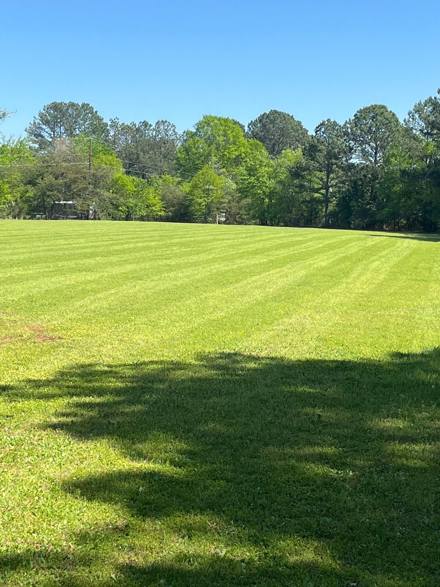  for Adams Landscape Management Group LLC. in Loganville, GA