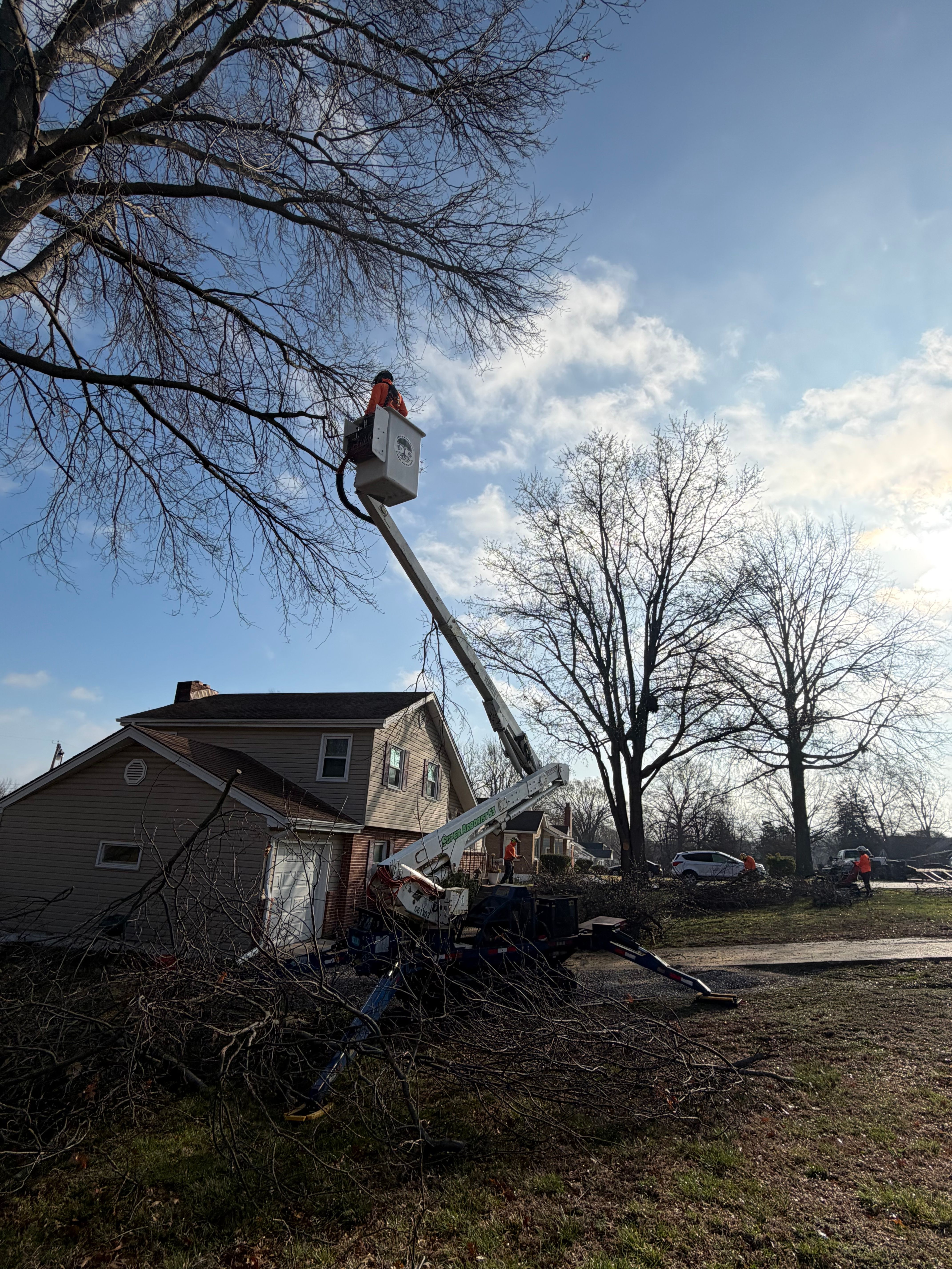 All Photos for Cross Family Tree Service in Kearney, MO