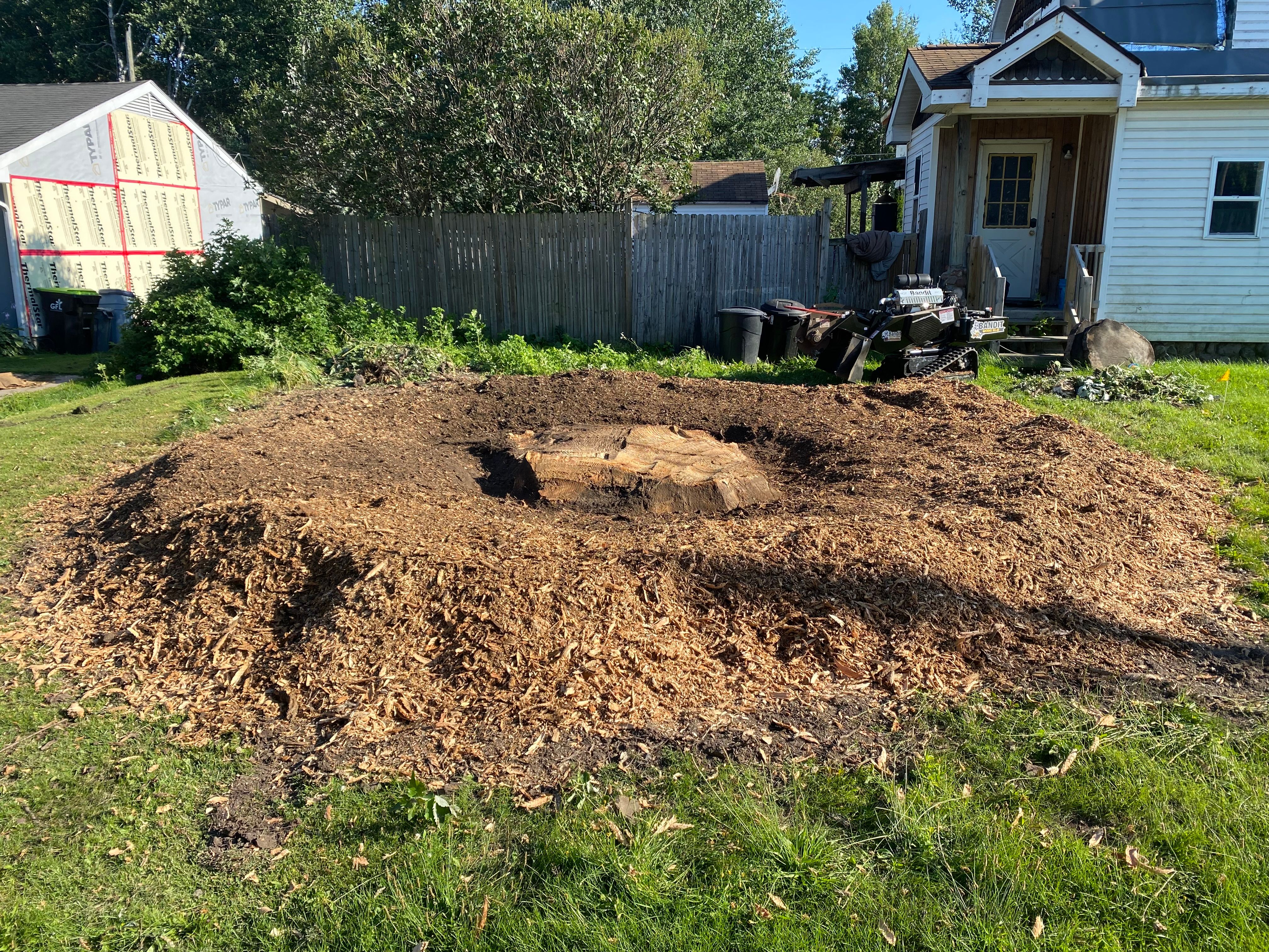 Stump Grinding for Bear Creek Tree Service LLC in Rudyard, MI