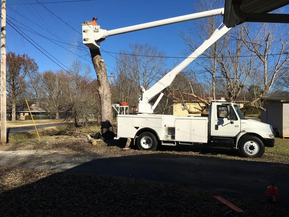  for Reagan & Sons Tree Service in Dandridge, TN