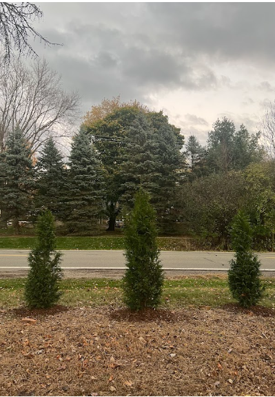  for Mulch & Dig in West Bloomfield Township, MI