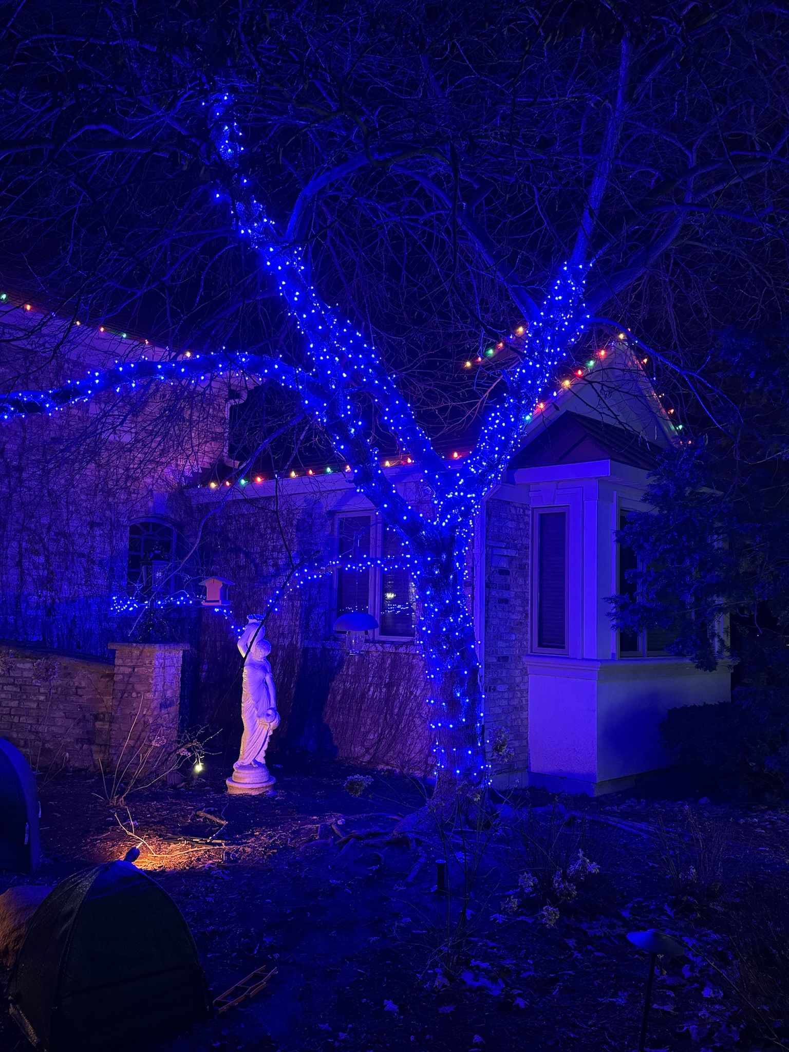 Holiday Lights for Premier Partners, LLC. in Volo, IL