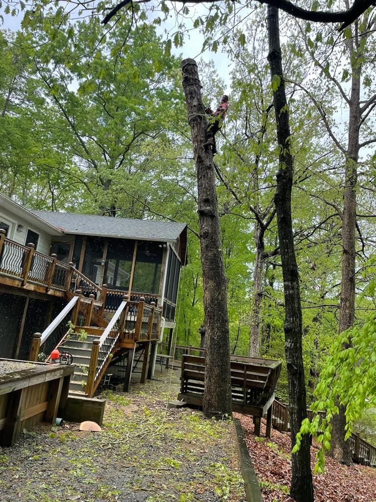 Tree Removal for Rosales Landscaping LLC in Lake Gaston, North Carolina