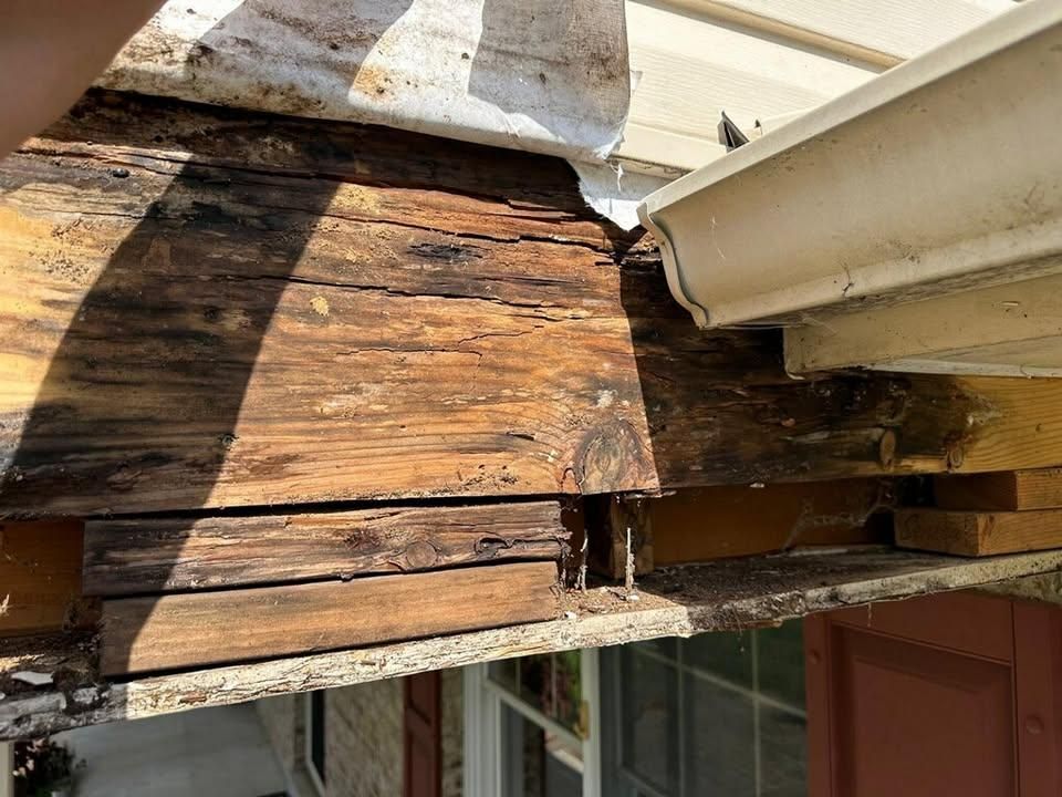  for We Got Dumpsters LLC in Clarksburg, MD