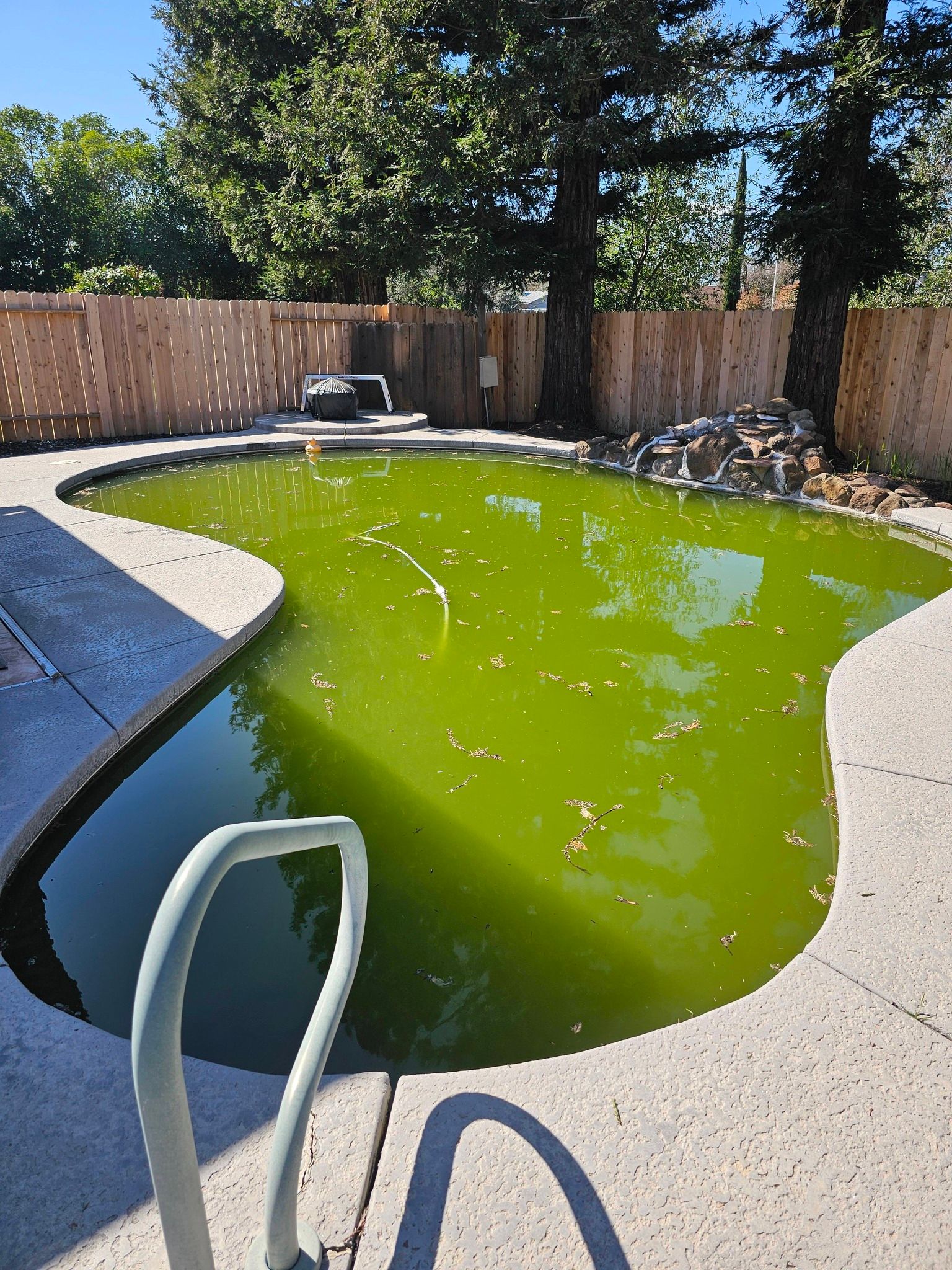 for Robertson Pools in Red Bluff, CA
