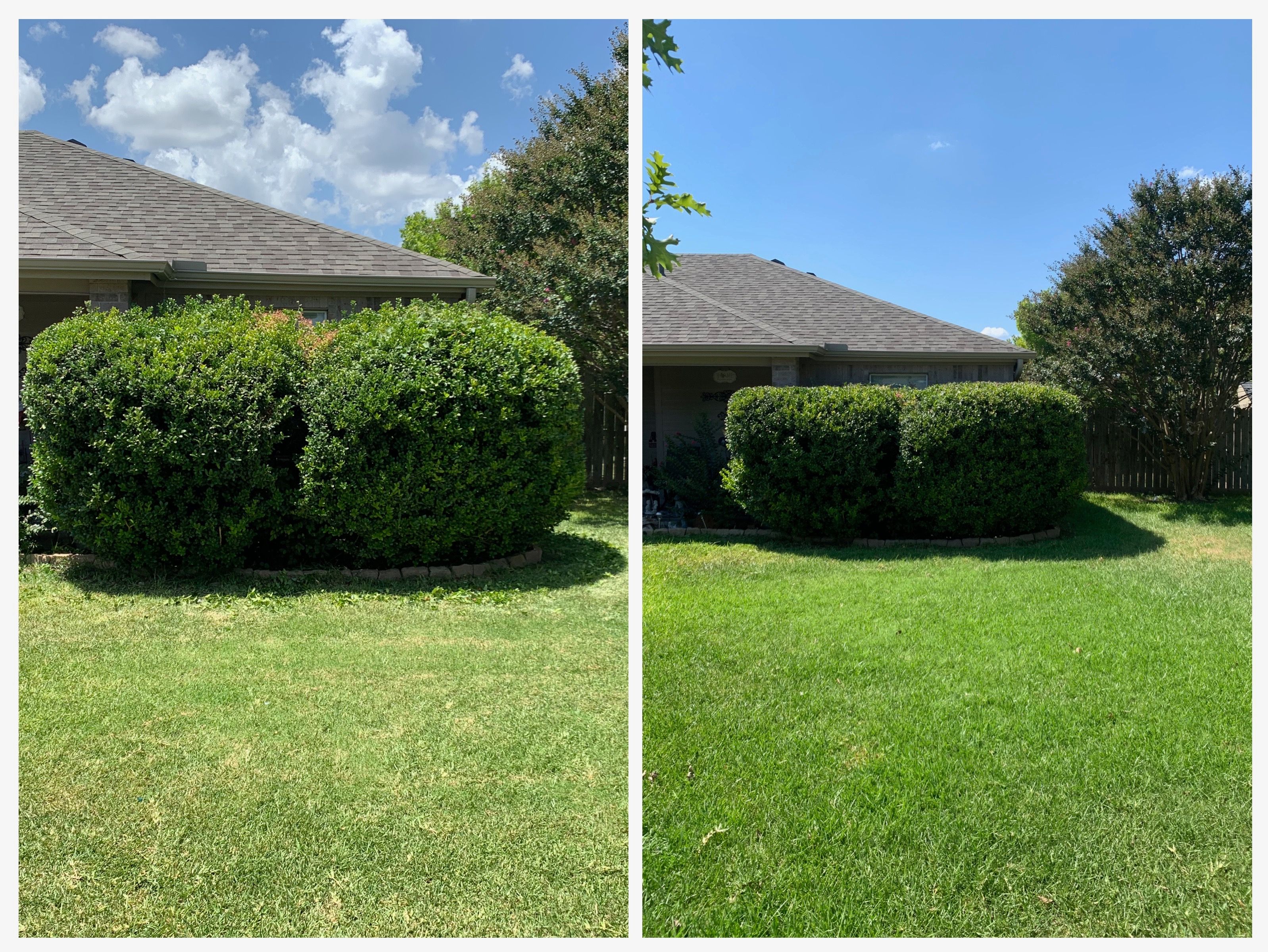  for Scalpel Lawn Service in Temple, TX