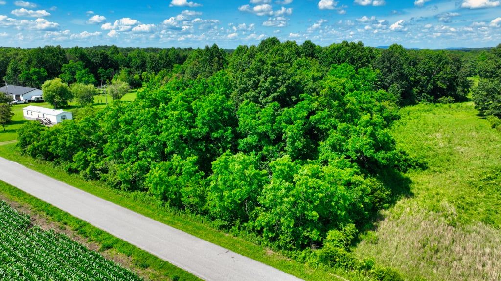  for JC Land Clearing in Shelbyville, TN