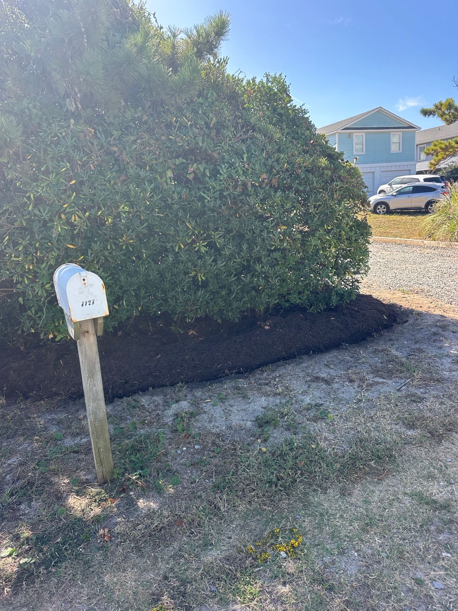 All Photos for Carolina Odd Jobs Inc. in Sneads Ferry, NC