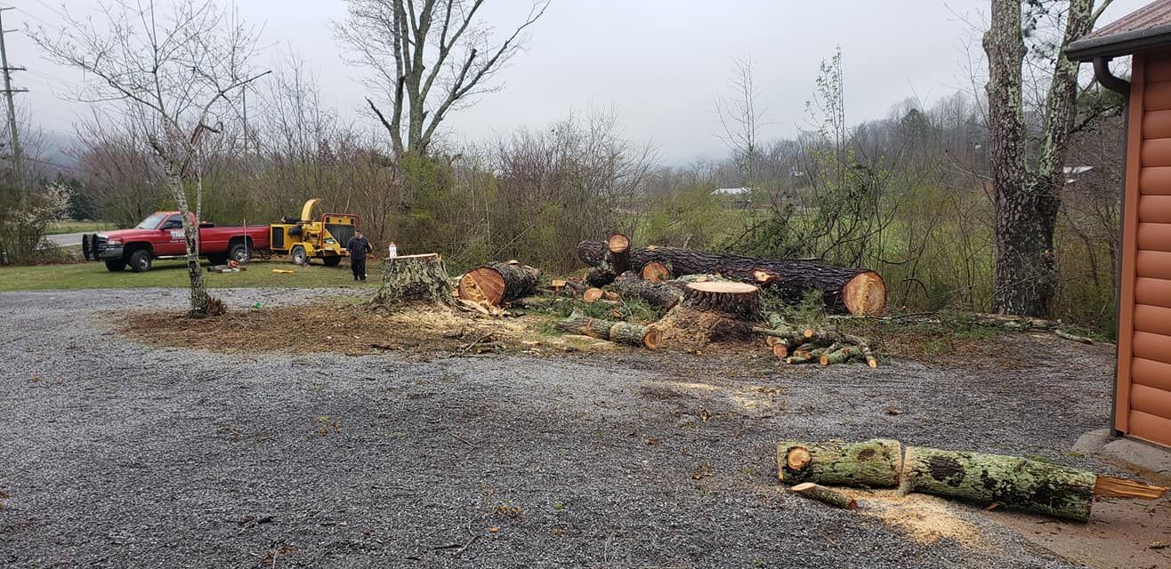  for Reagan & Sons Tree Service in Dandridge, TN