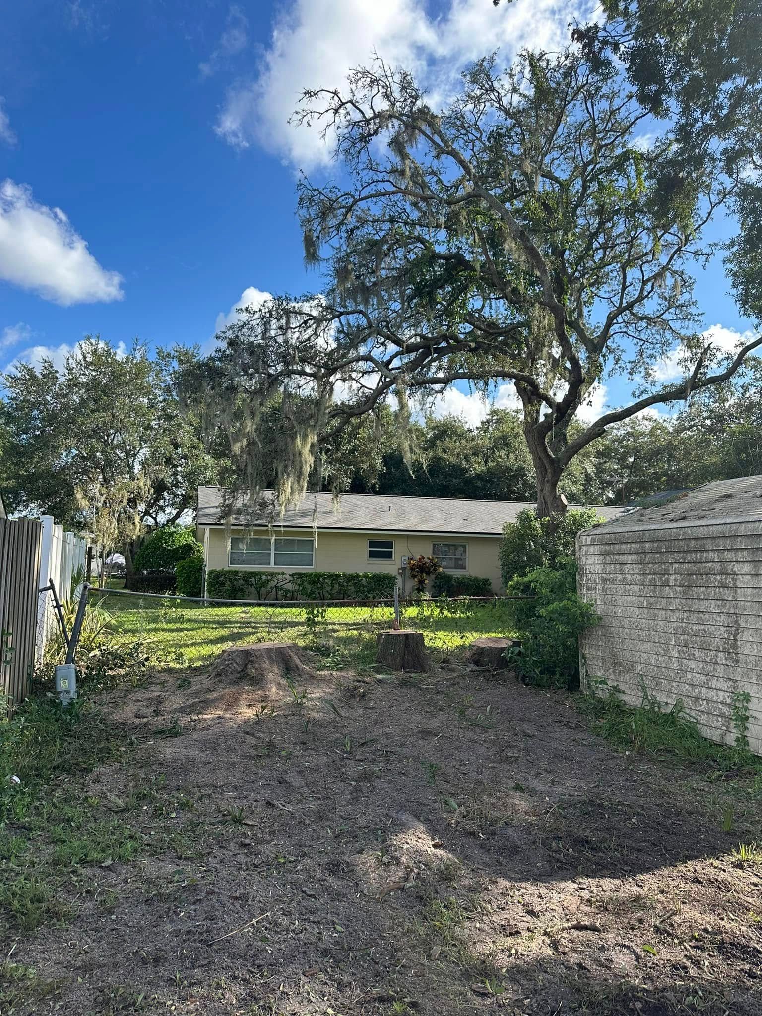  for Narrow Path Tree Service in Deland, FL