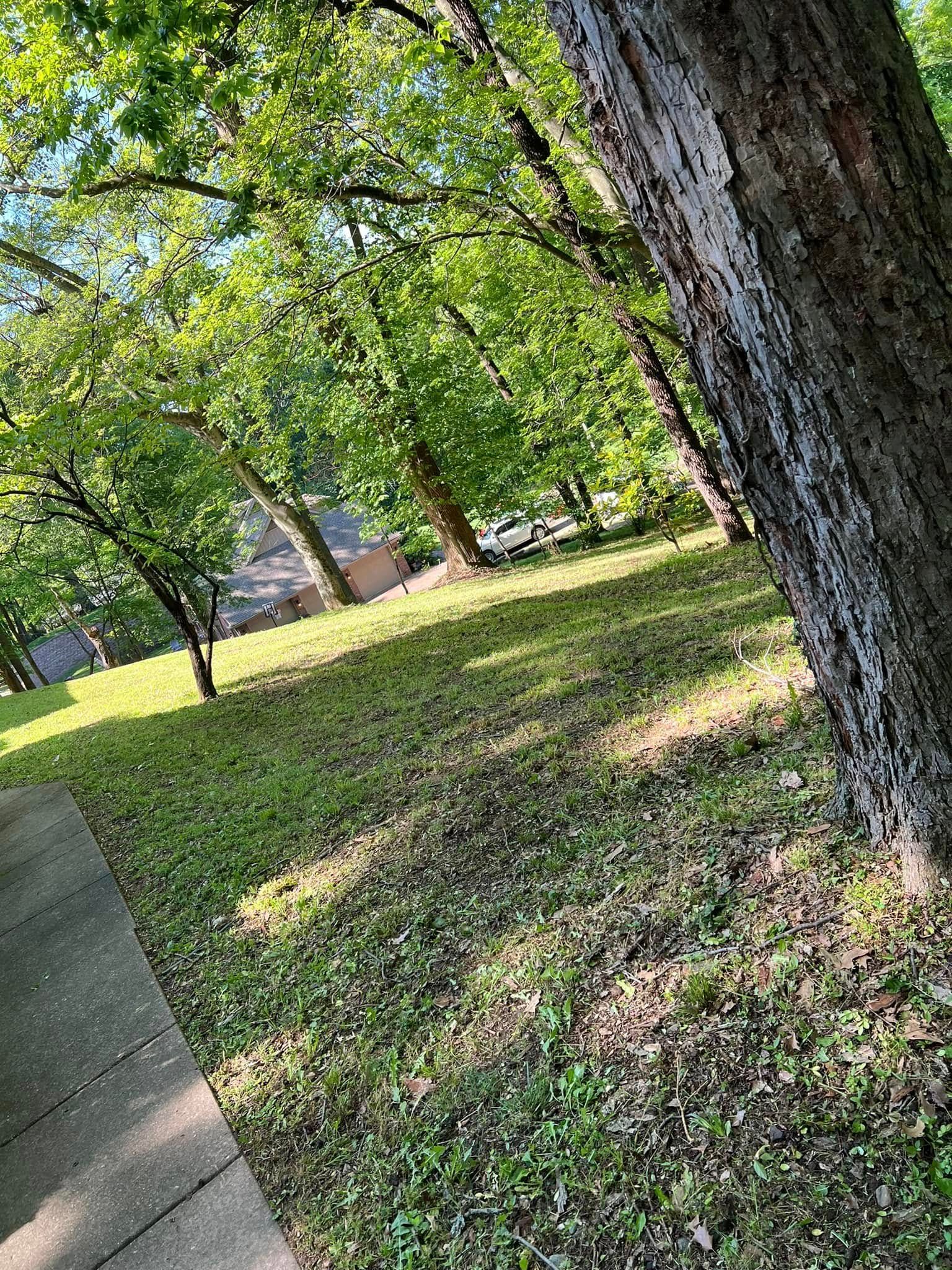  for New Outlook Lawncare in Henderson County, KY