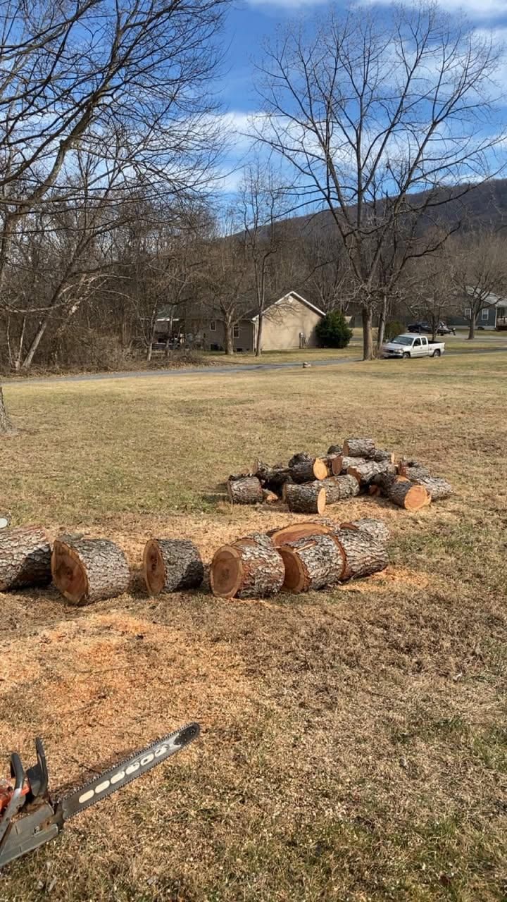 All Photos for Gray's Tree Service  in Shenandoah County, VA