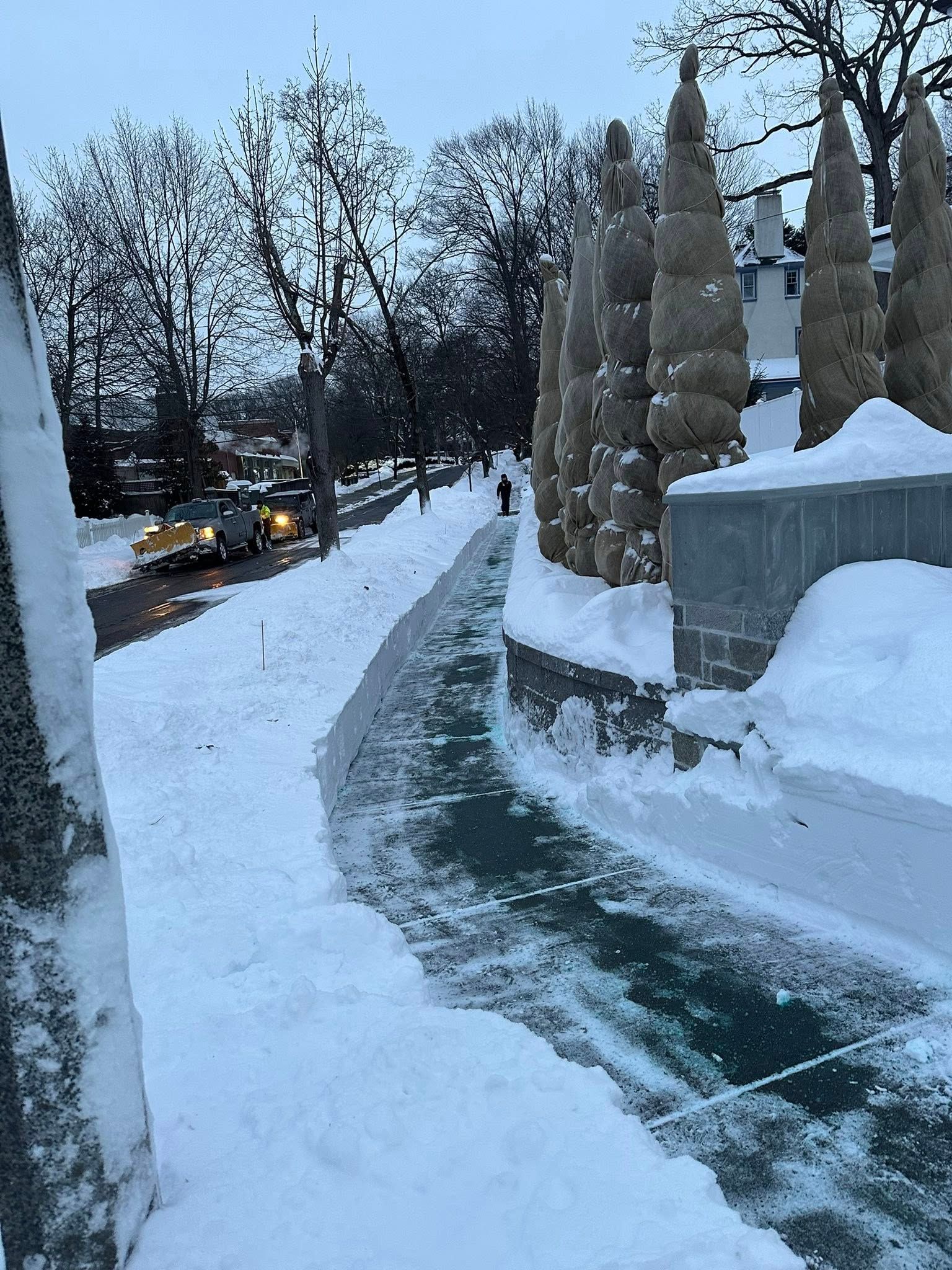  for Saavedra & Sons Landscaping in Waltham, MA