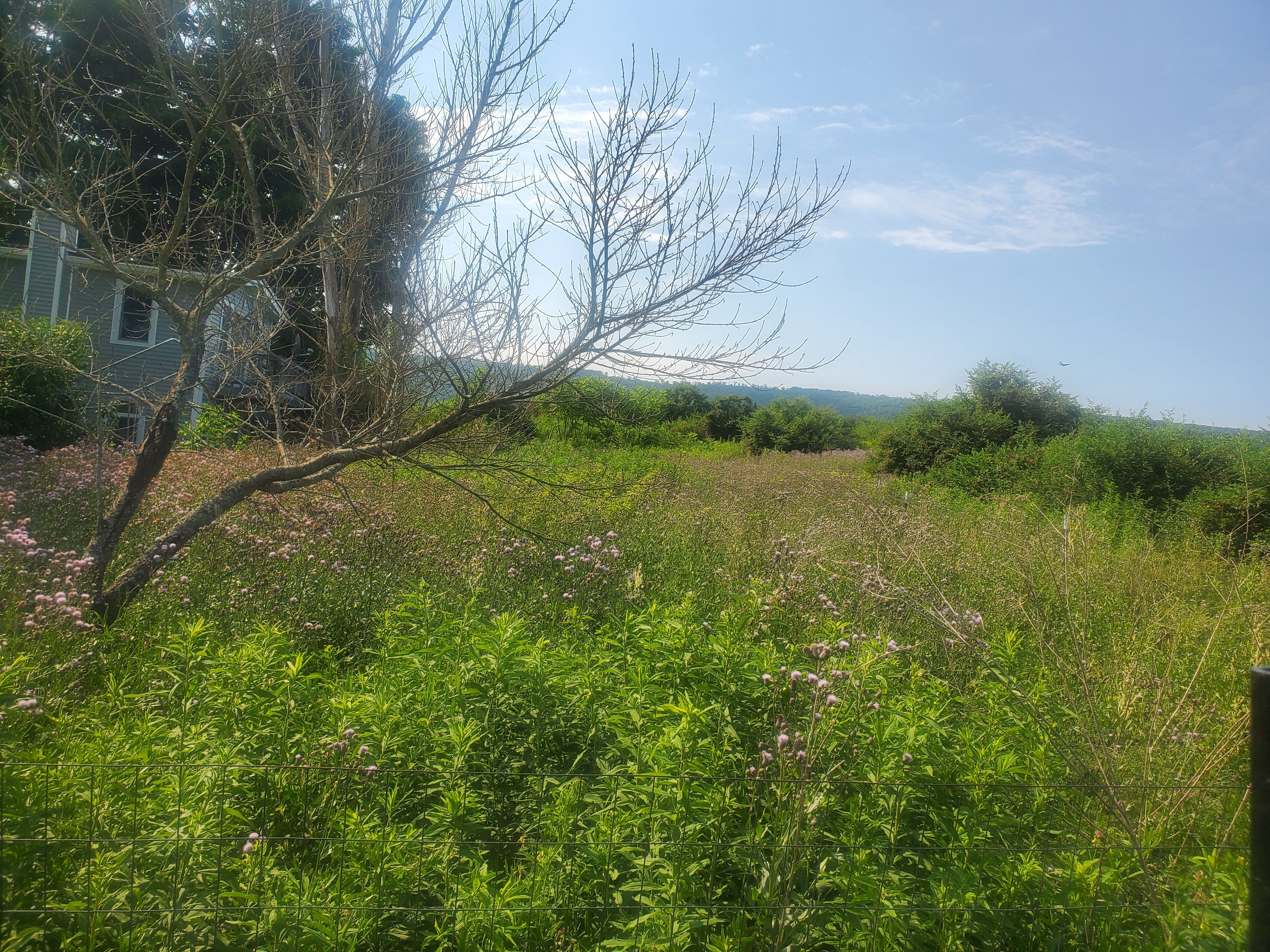  for Down Home Landscaping in Stillwater, PA