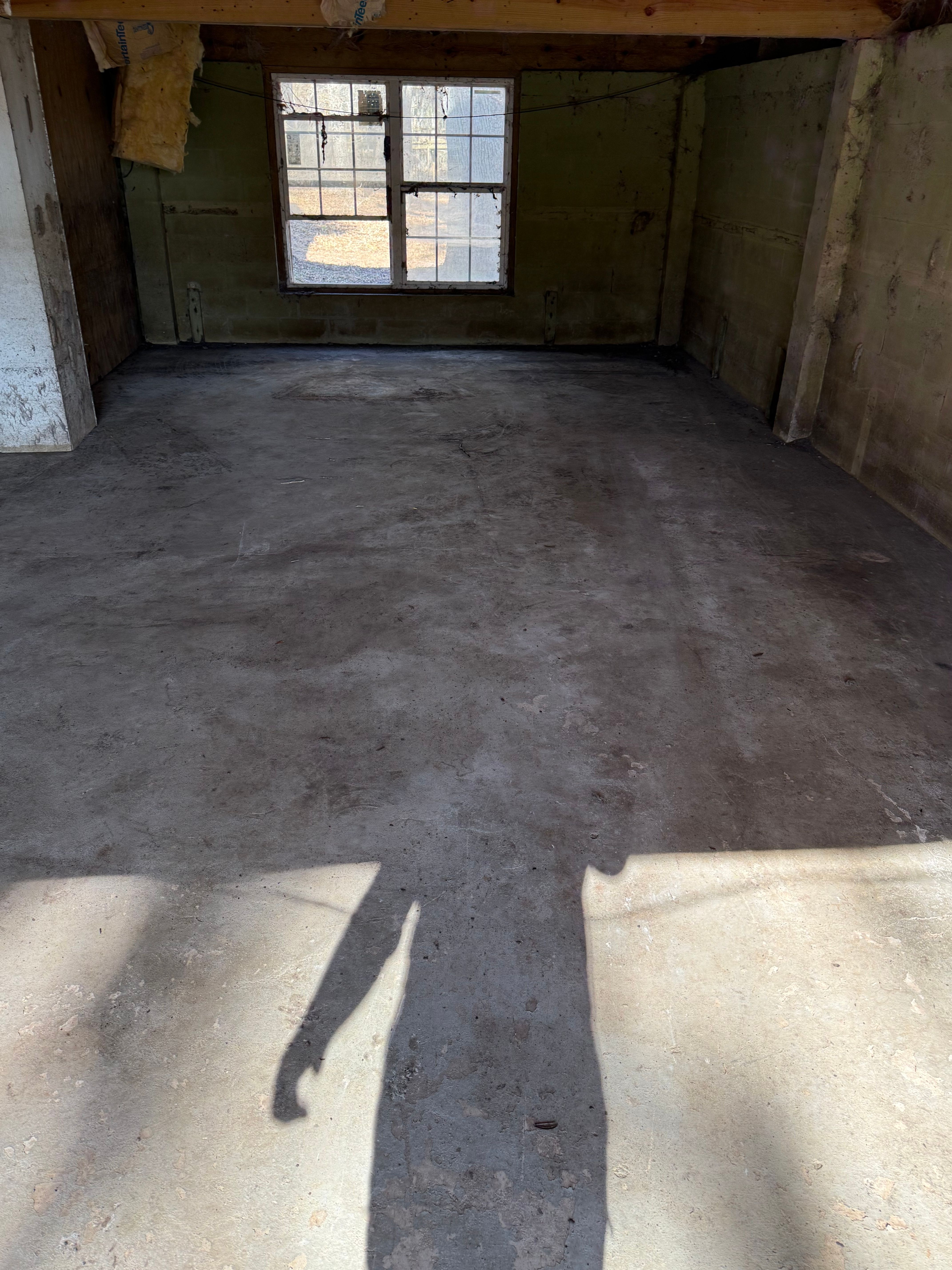  for Warners Tree Solutions in Live Oak, FL