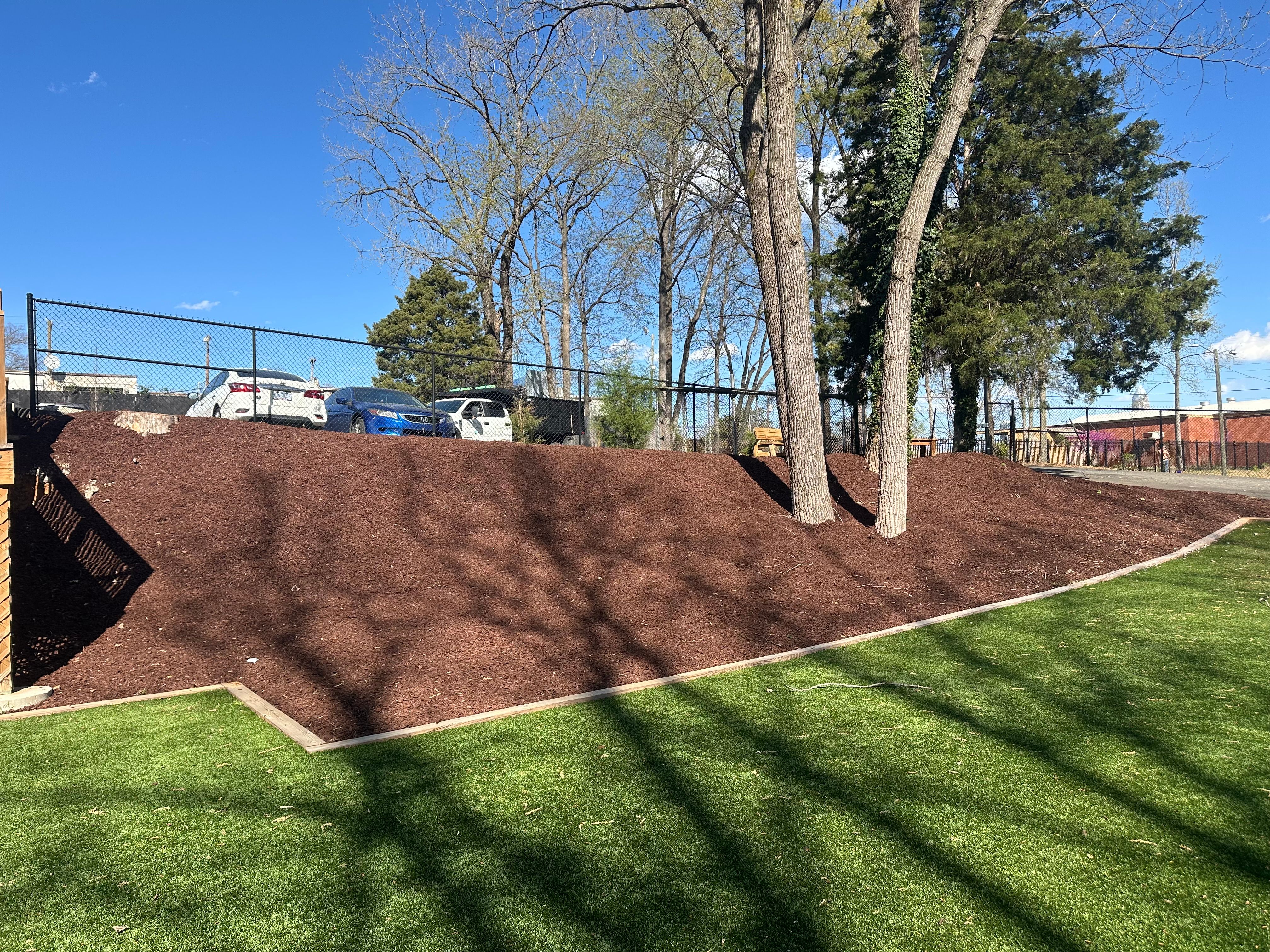  for Pecina Pine Needles in Monroe, NC
