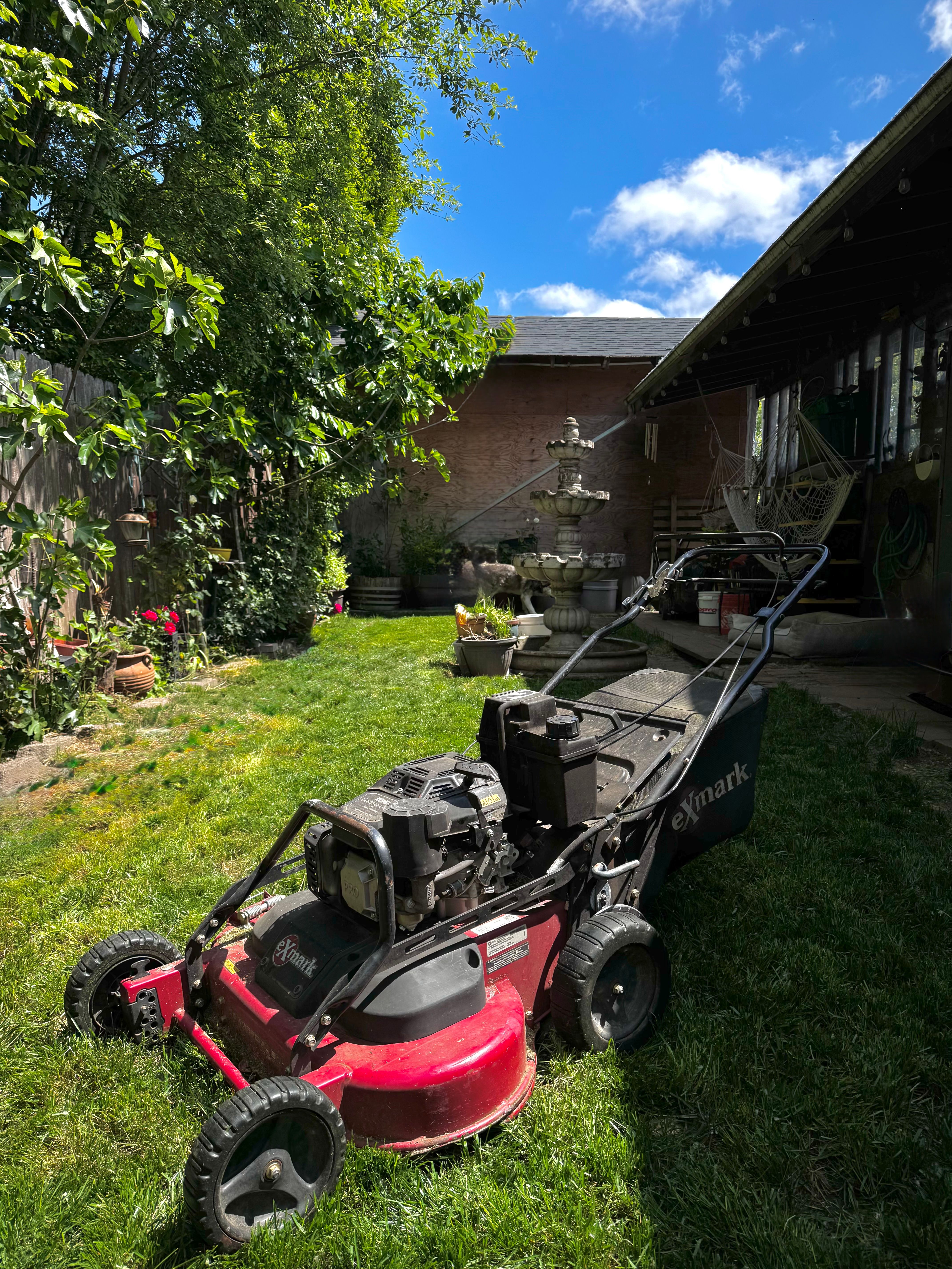 Lawn Maintenance for Willamette Landscaping & Tree Services in Albany, OR