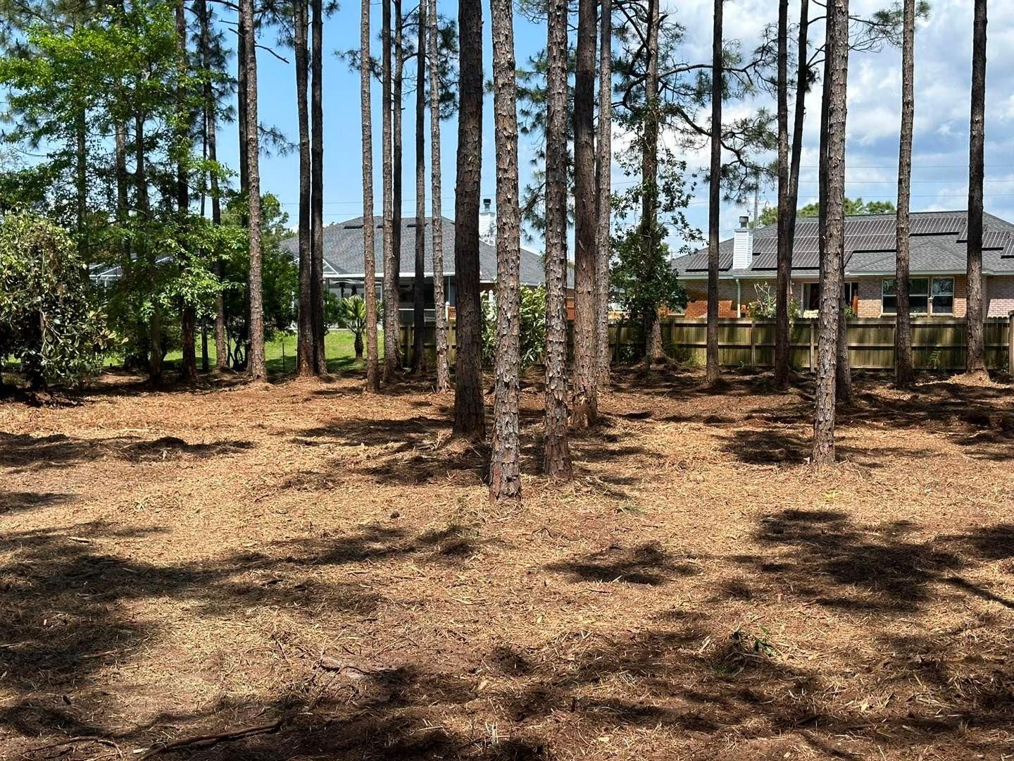  for White’s Land Maintenance in Milton,, FL