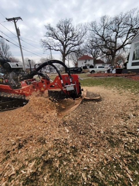  for Equality Contracting And Tree in Kountze, TX