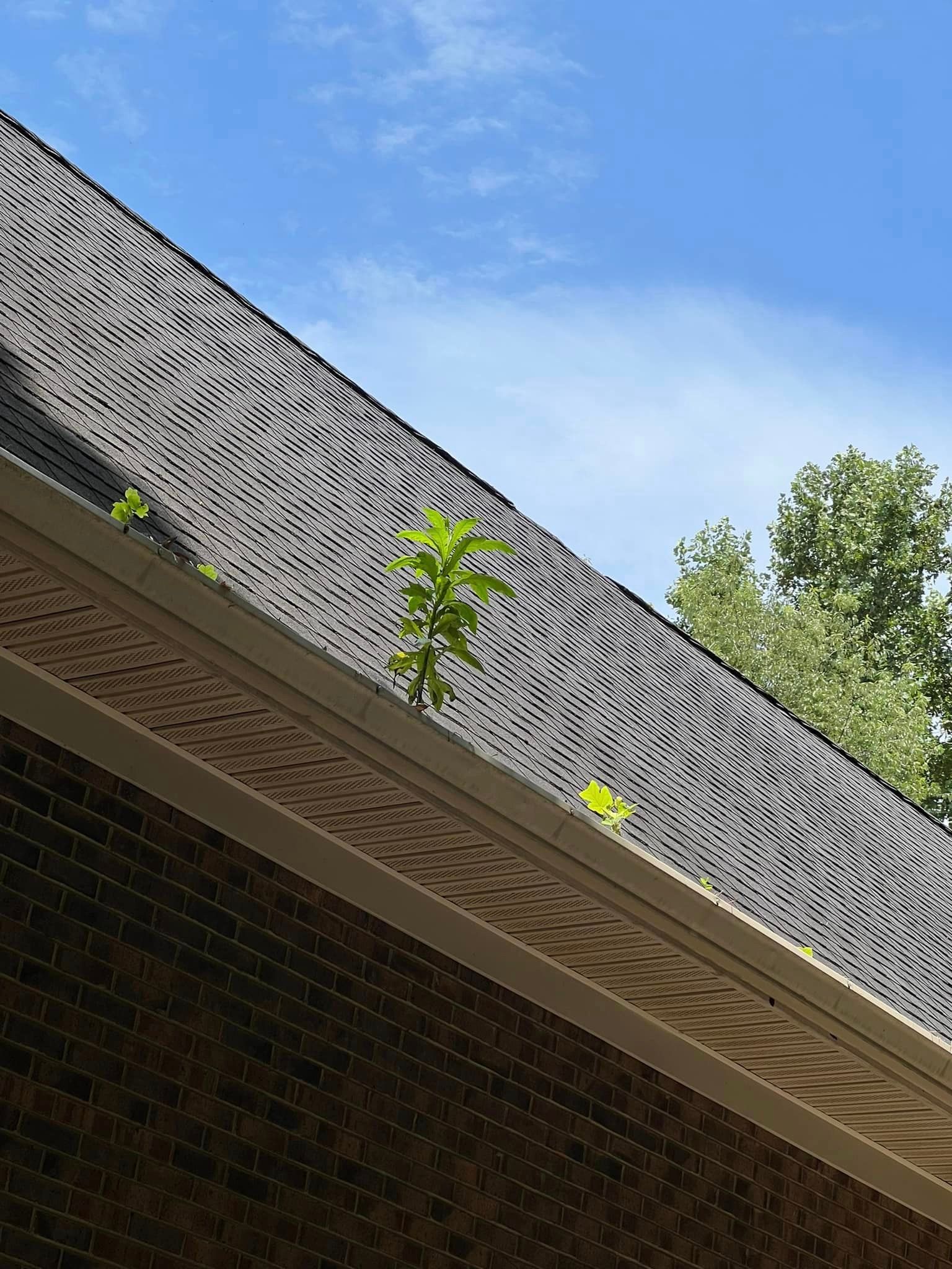  for Ultimate Gutters in Charlotte, NC