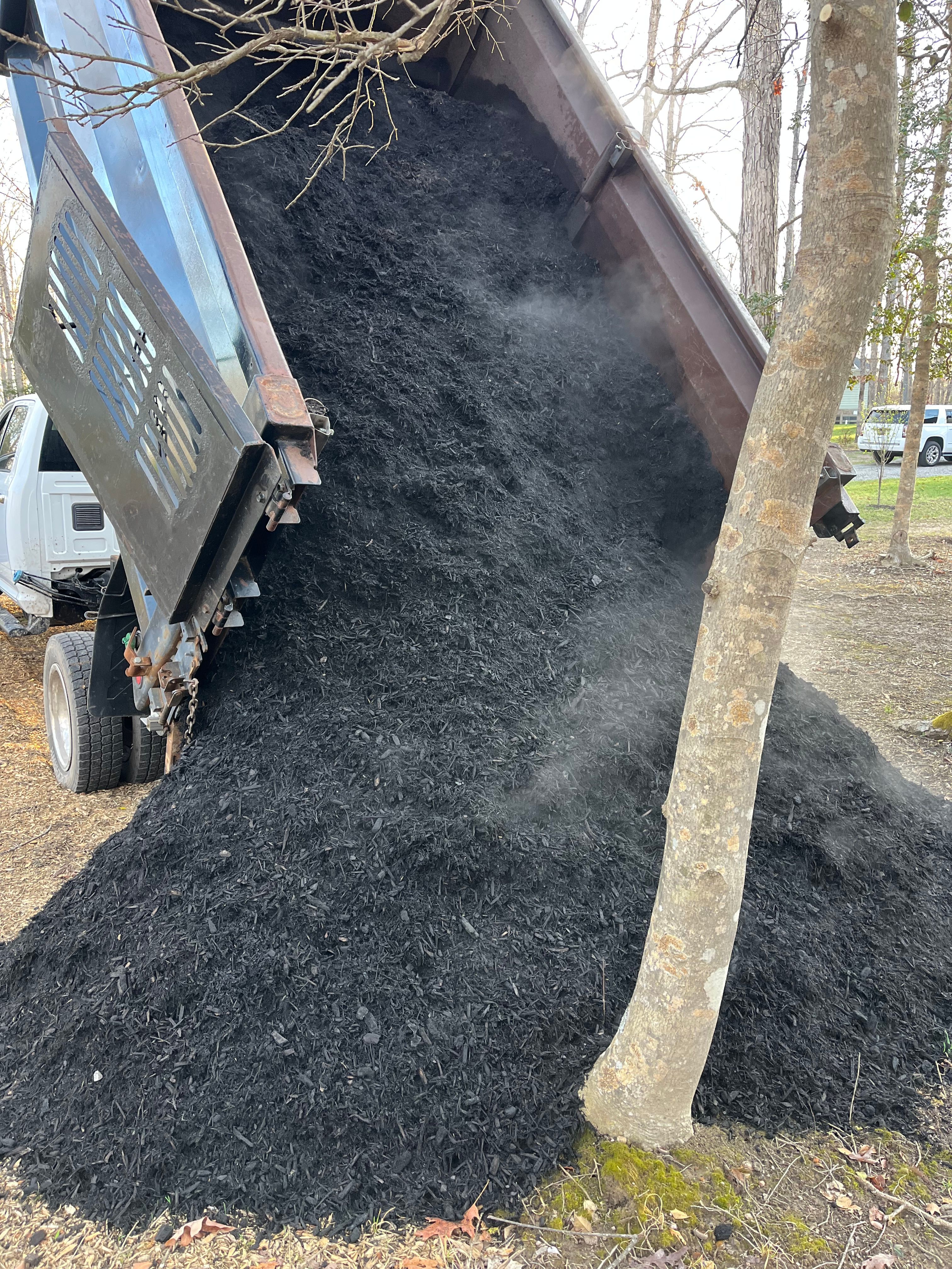  for Atlas Home Services in Mechanicsville, VA