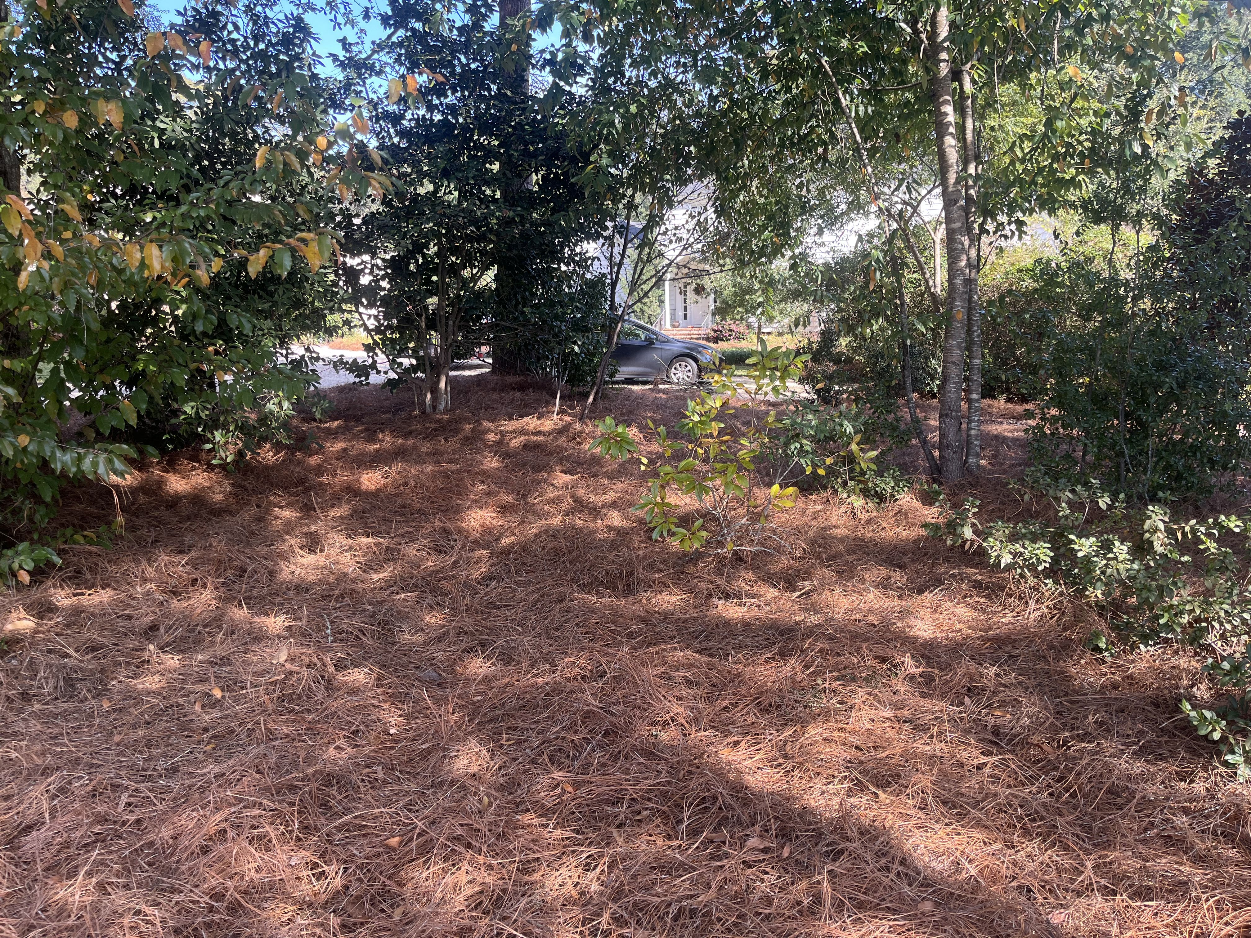  for All-Star Lawn Care & Soft Washing in Mobile, AL