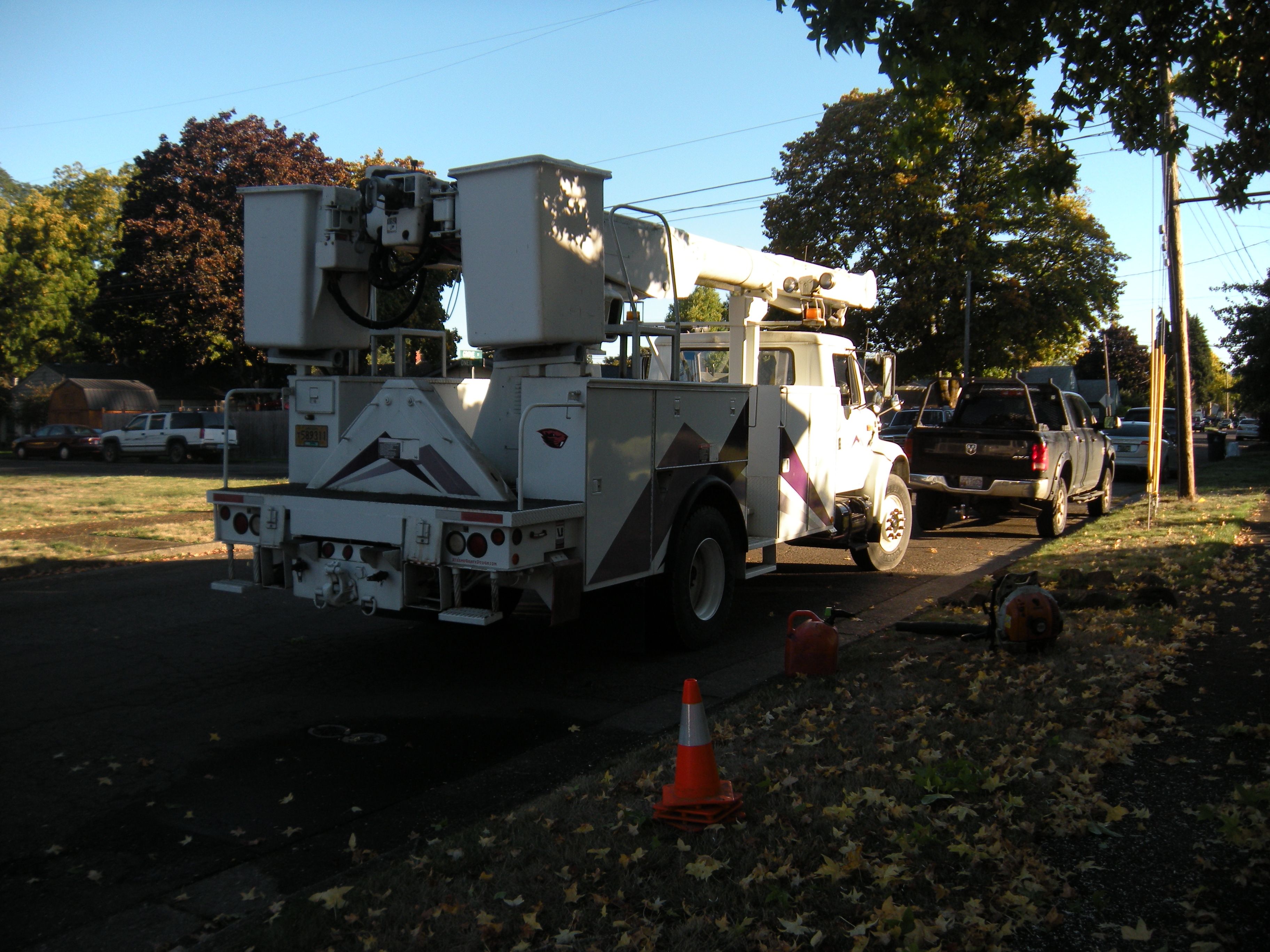  for Willamette Landscaping and Tree Services in Albany, OR