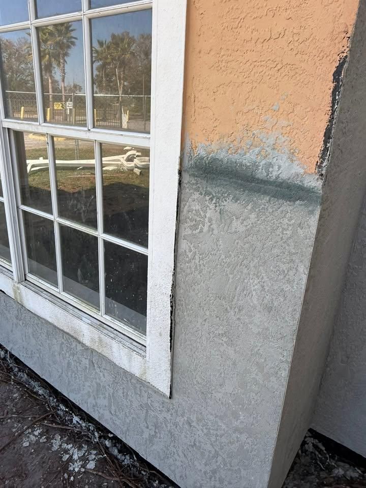  for Escorpio Painting in Tampa, FL