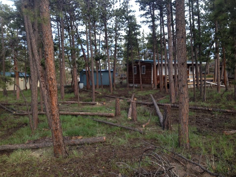 All Photos for Beetle Busters LLC in Centennial, CO