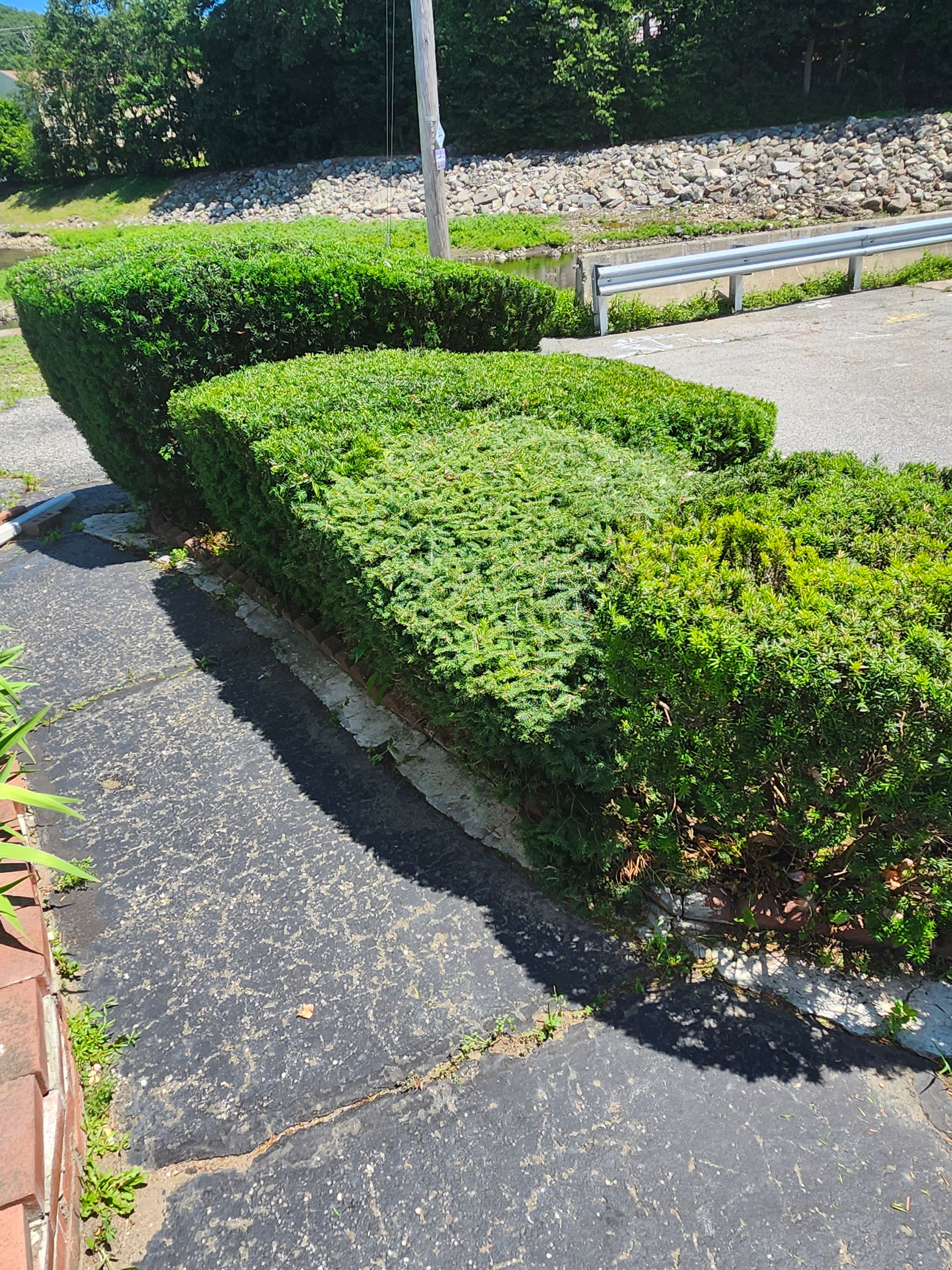 Hedge/Tree/Brush Cutting for Landscape Innovations LLC in Torrington, CT