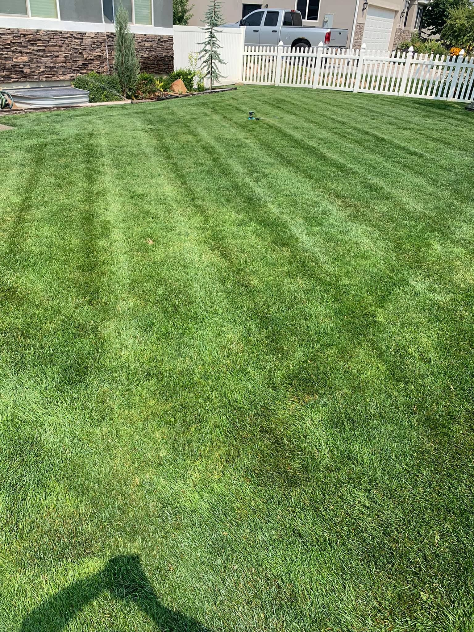  for Platinum Lawn Service in Santaquin, UT