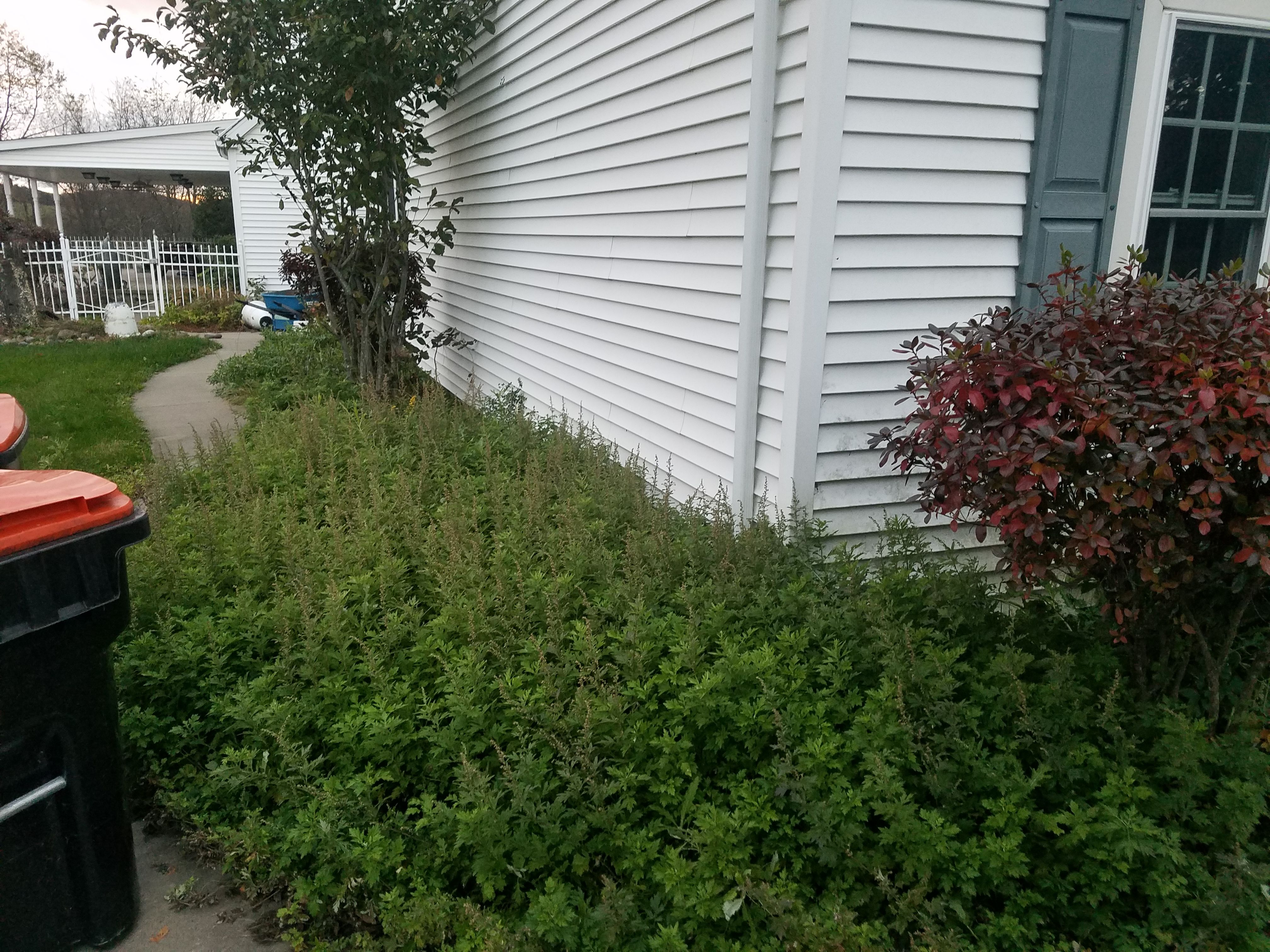  for Down Home Landscaping in Stillwater, PA