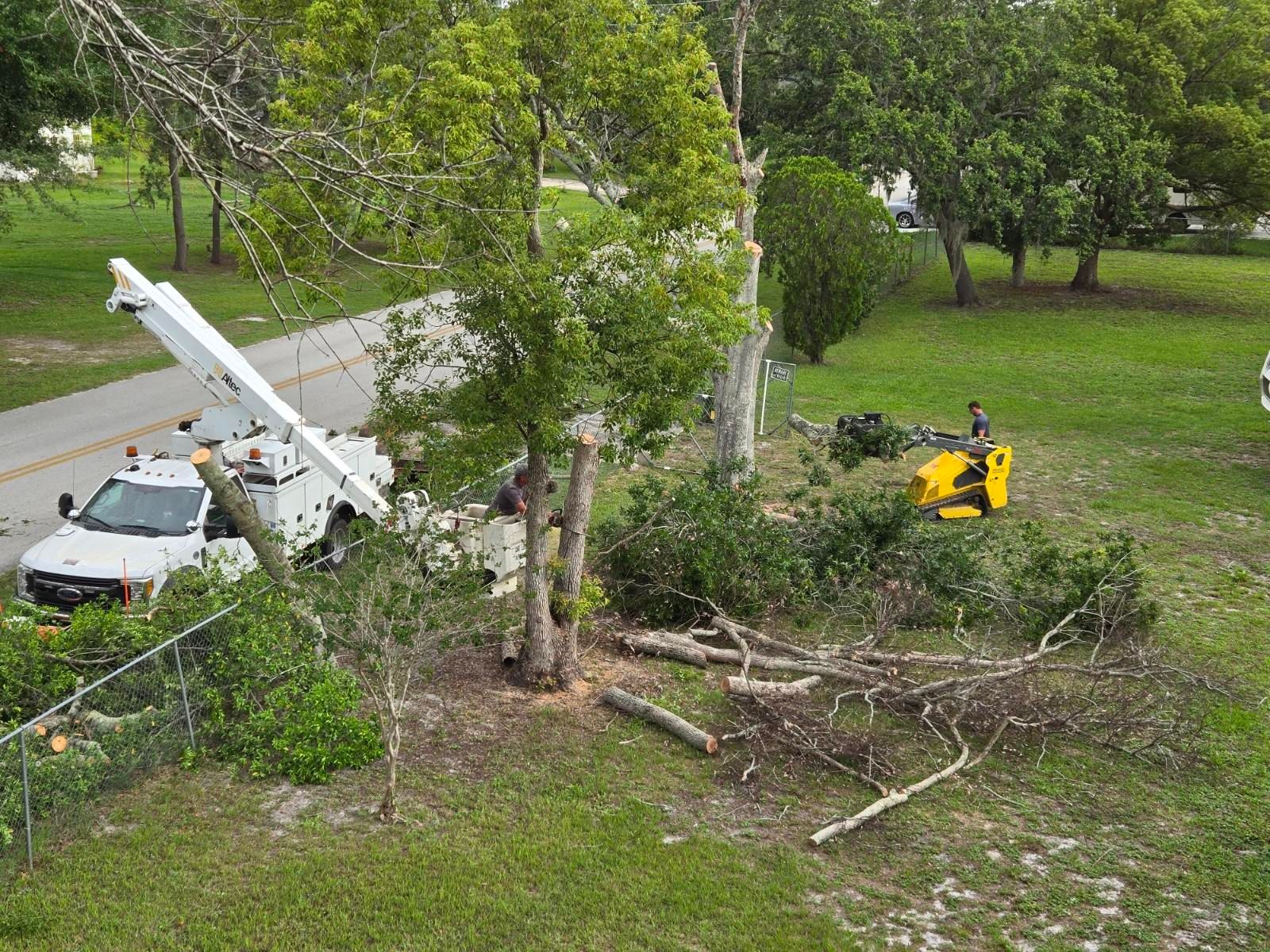 All Photos for Near Me Tree Service, Inc. in DeLand, FL