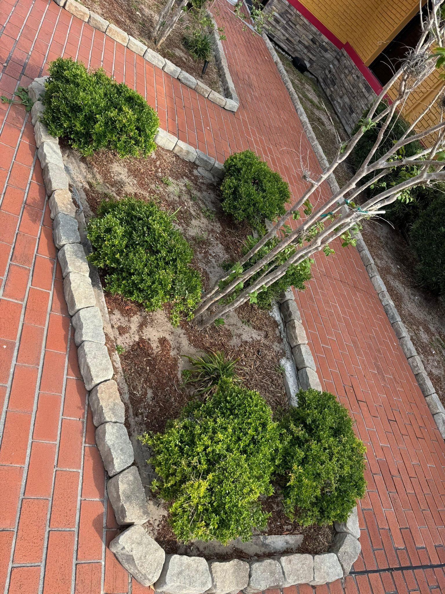  for Native Land Management in Lakeland, FL
