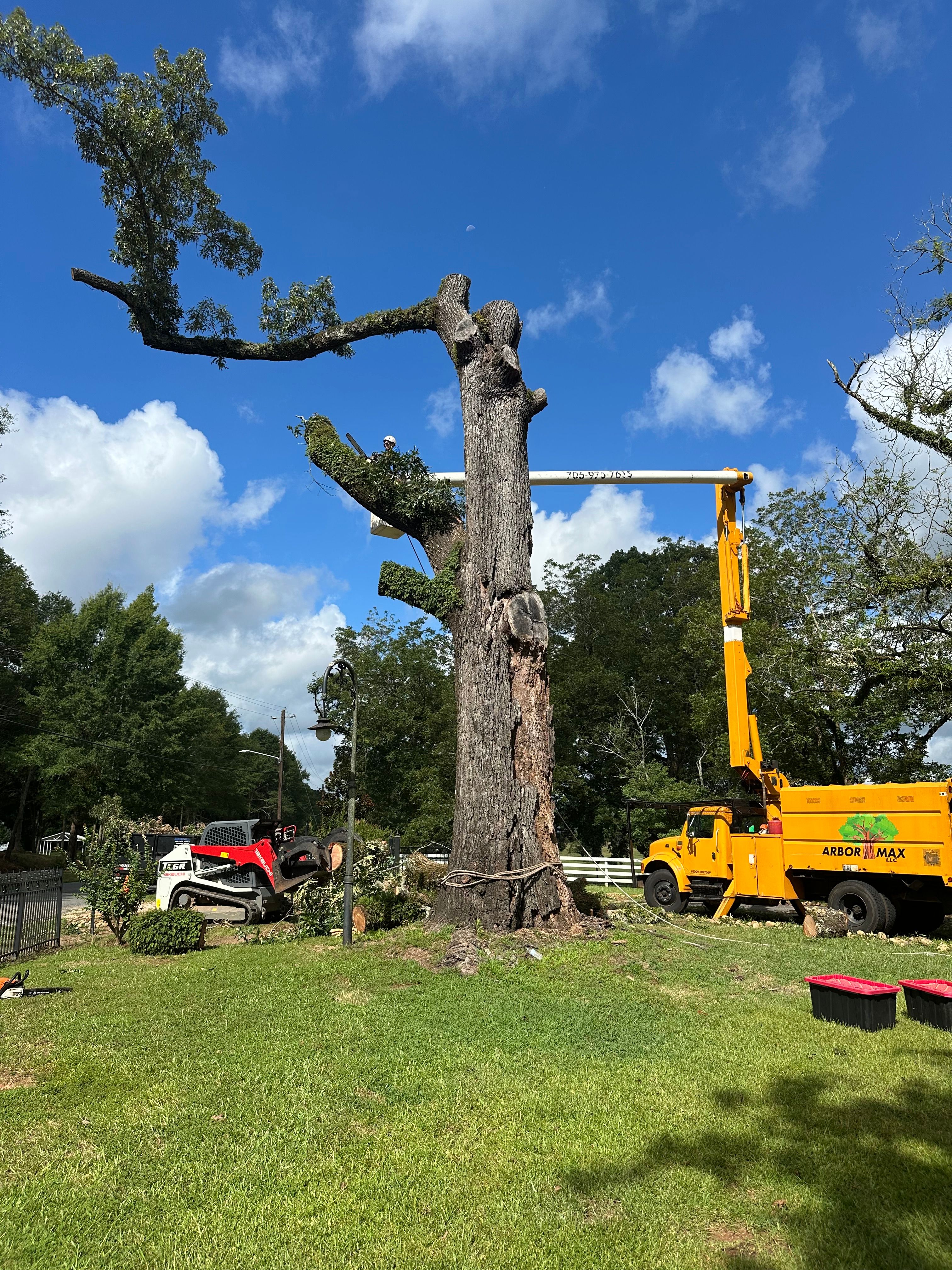 All Photos for ArborMax in Thomaston, GA