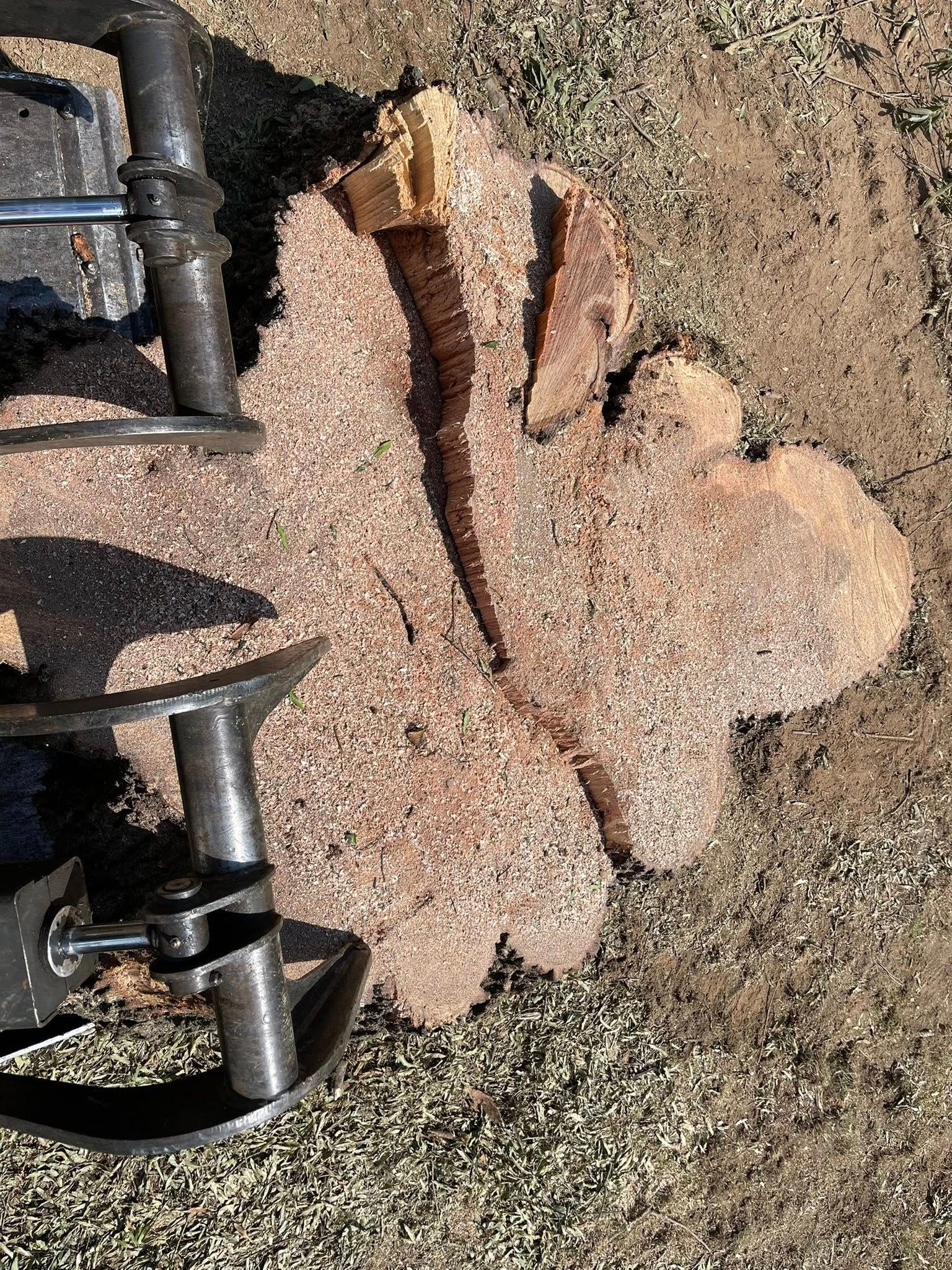  for K-2 Tree Service in Shelby, NC