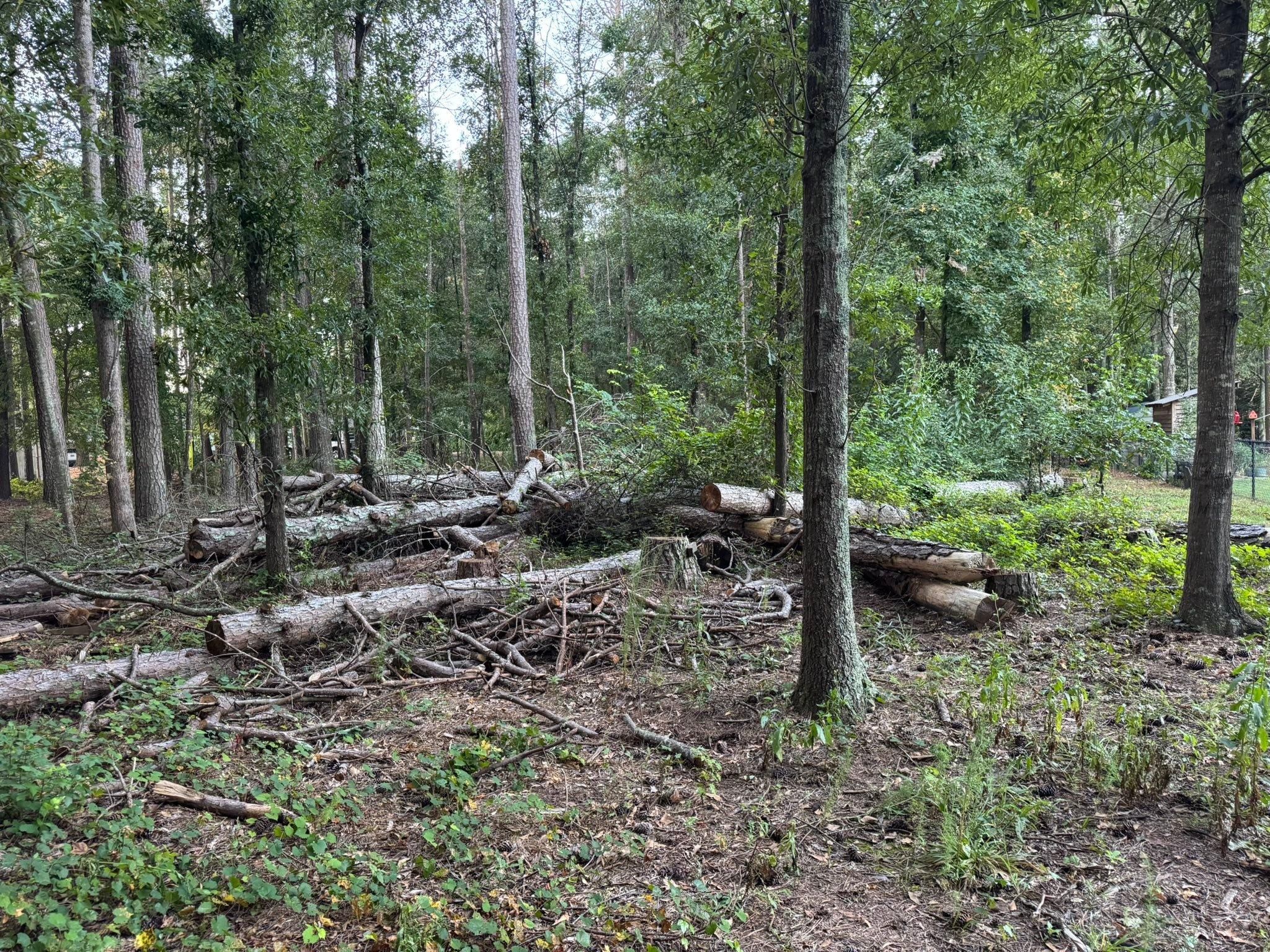  for KLNAX Enterprises in Newton County, GA