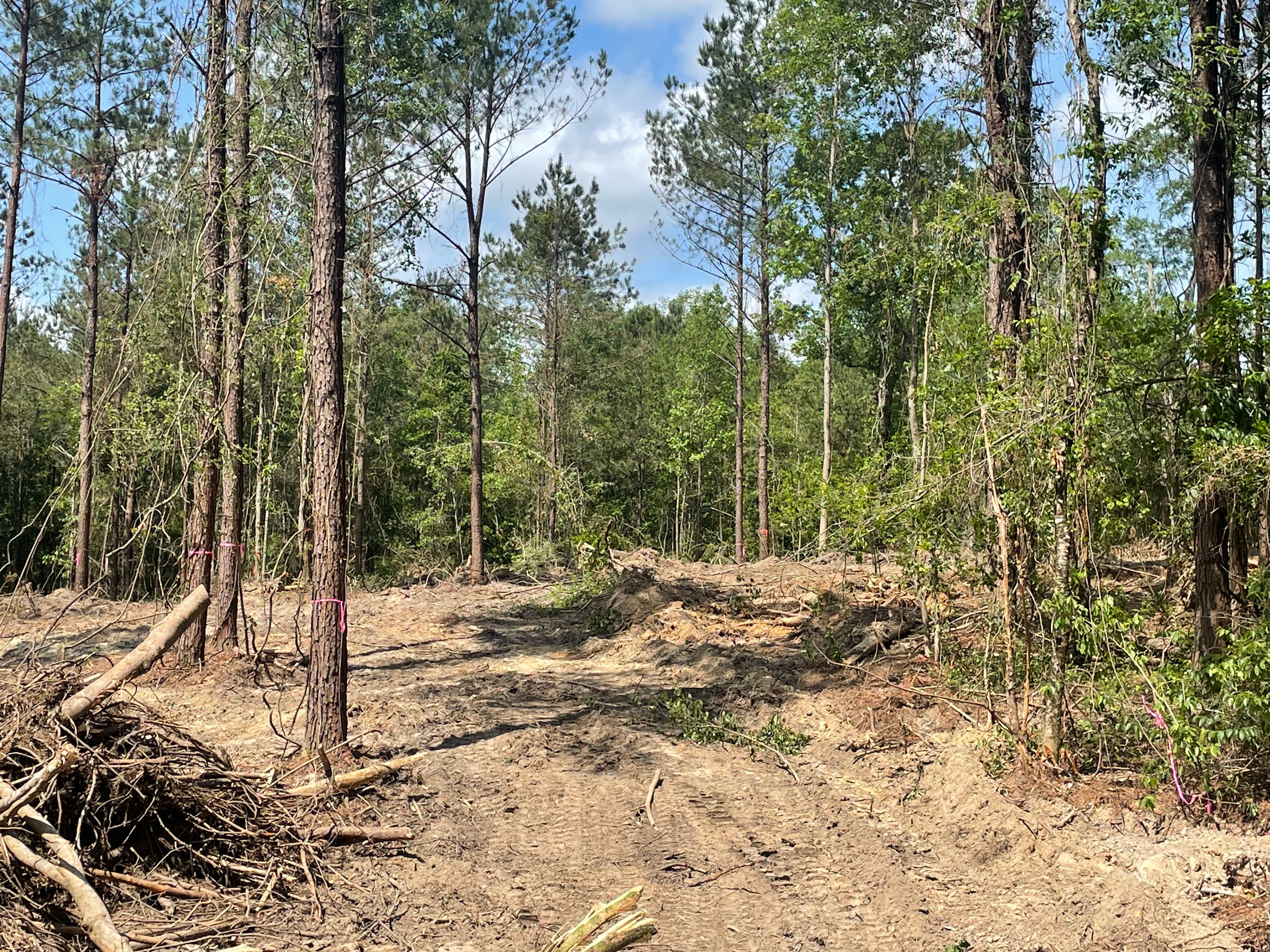  for Platinum Construction llc in Pearl River, MS