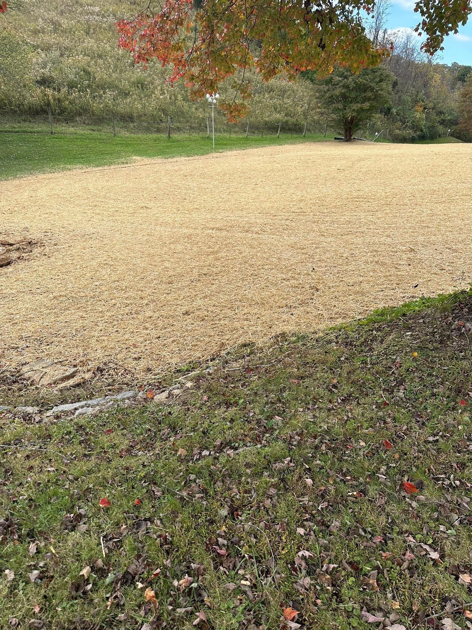  for Excavation Innovations in Rogersville, TN